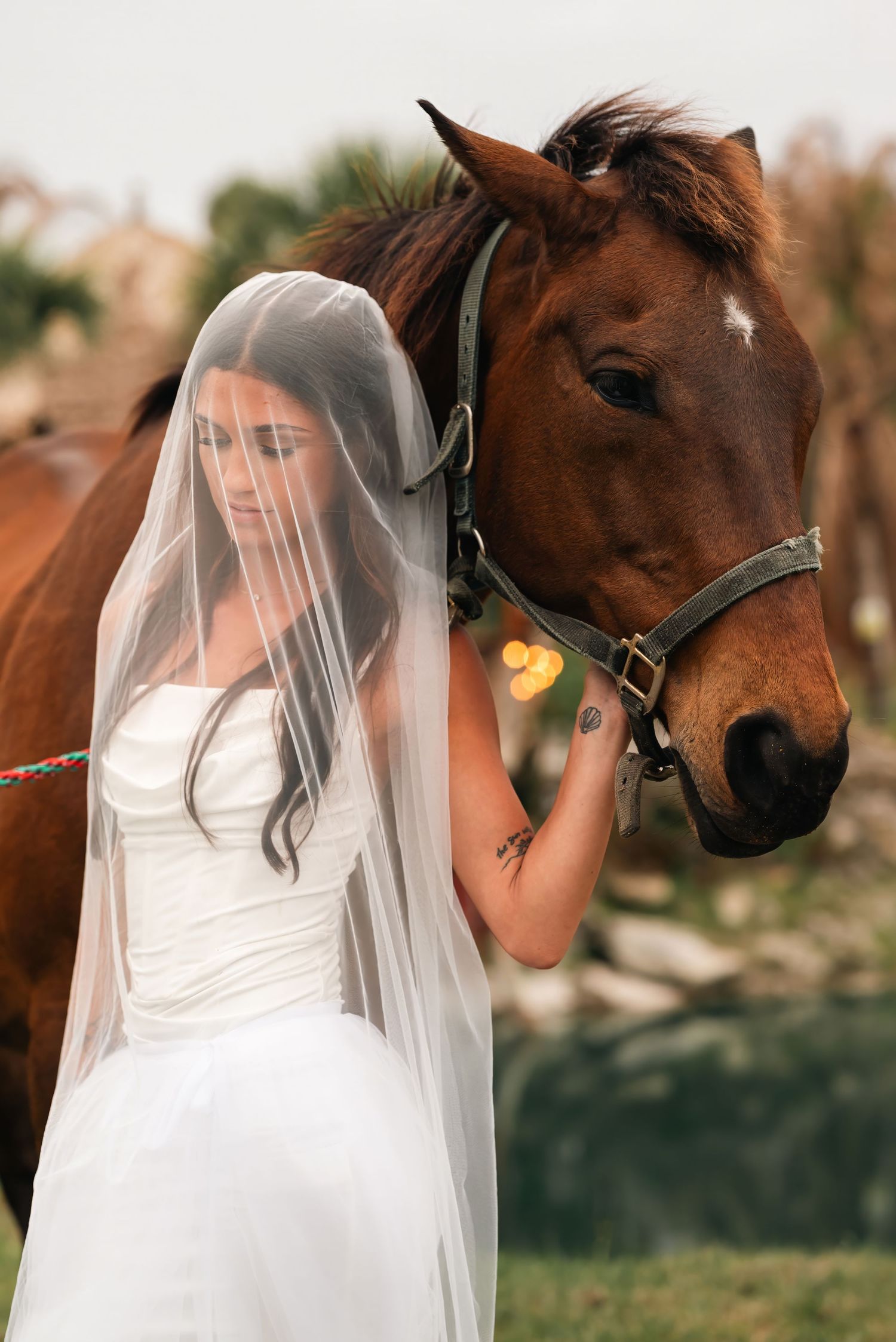 Bride in white gown and veil gently holds the halter of a chestnut horse outdoors.
