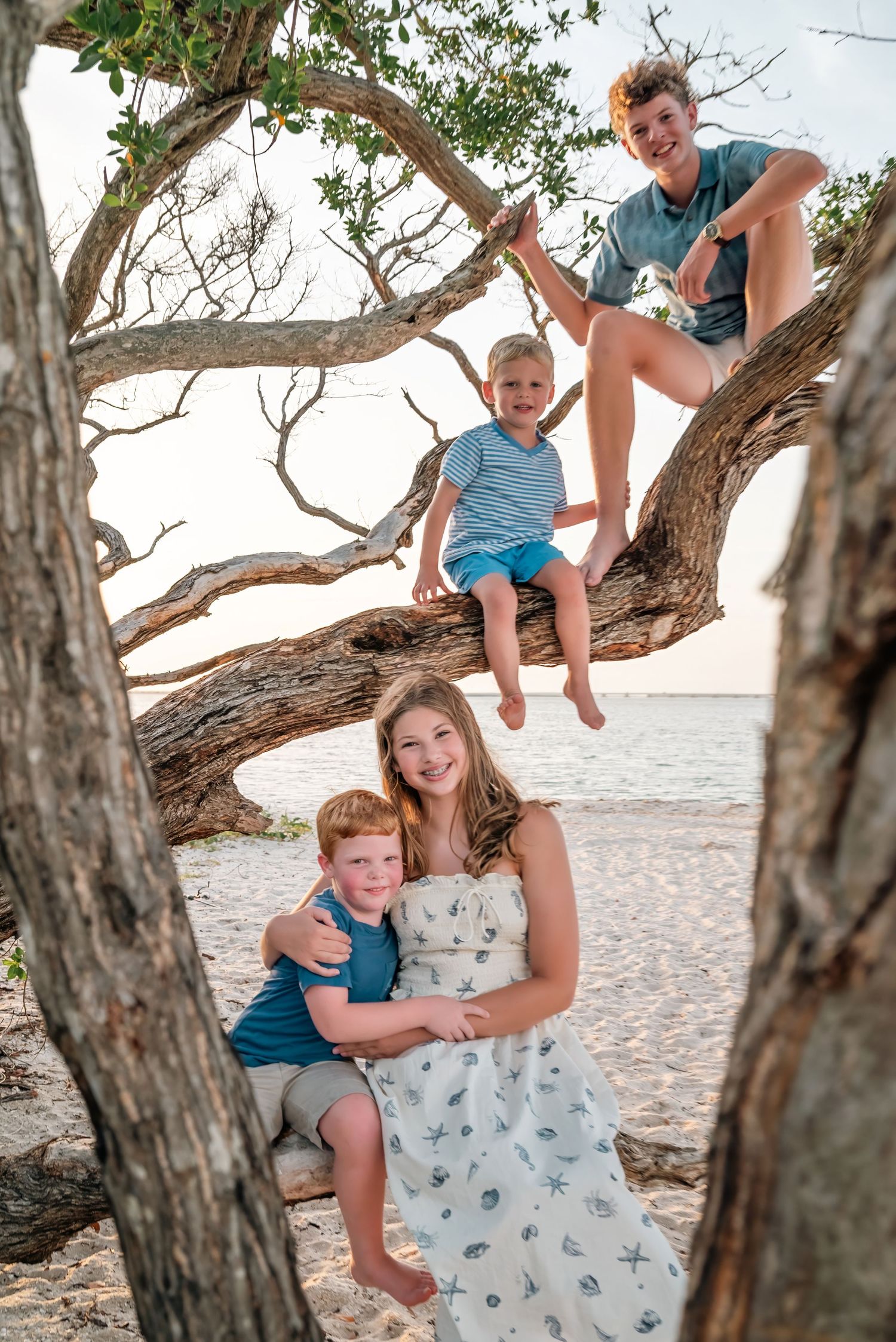 Four children pose on a driftwood tree on a sandy beach, with two sitting in branches and two hugging below.
