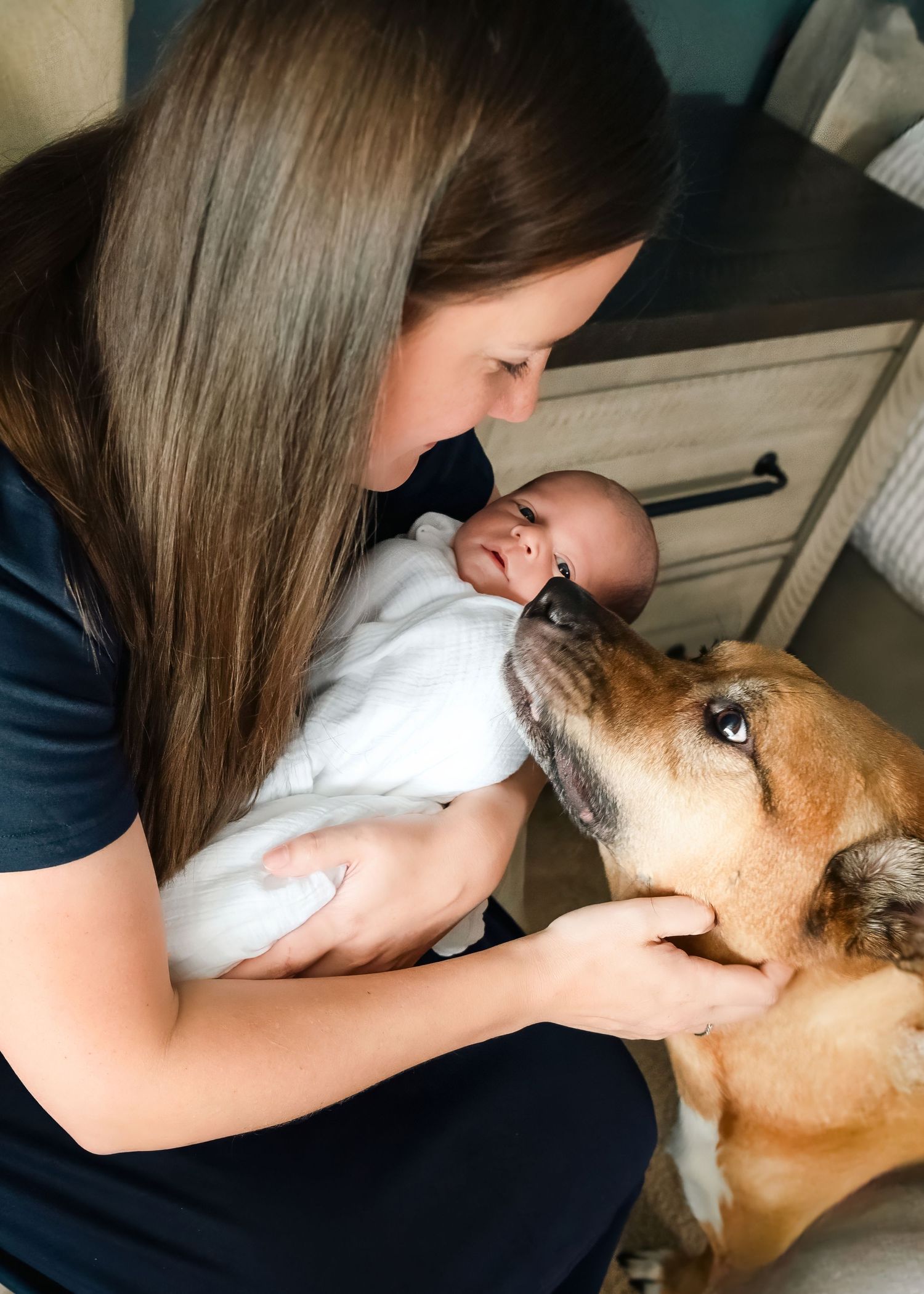 A woman holds a newborn baby while a brown and white dog sniffs the infant indoors.