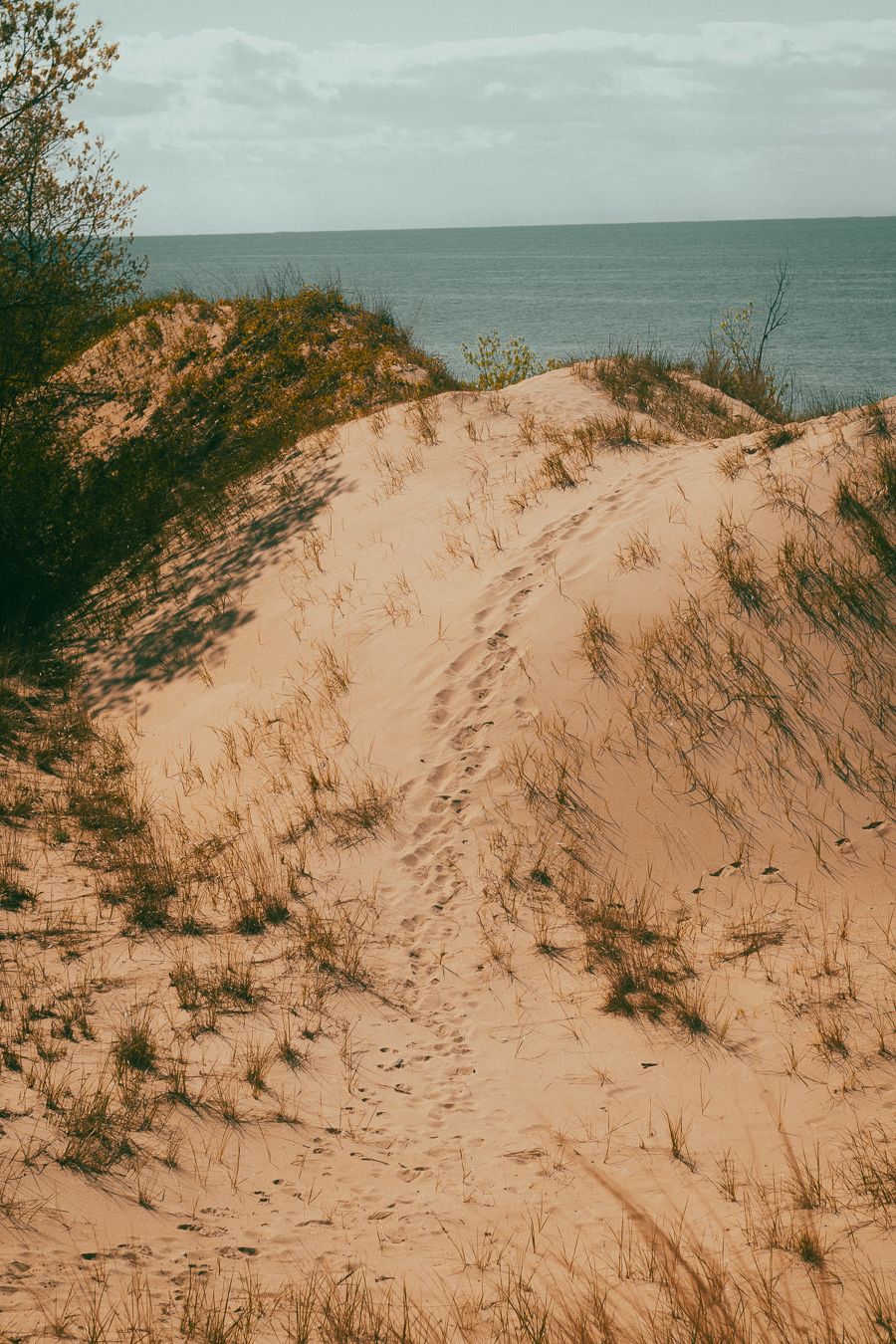 Sandy coastal dune path with footprints leading to a calm ocean horizon under overcast skies.