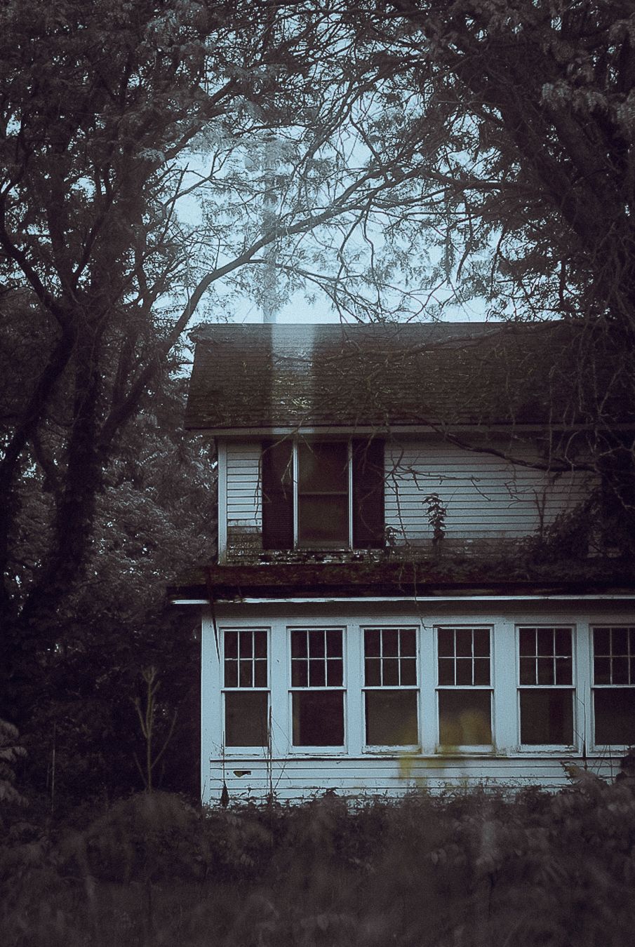 Abandoned white house with row of windows visible through overgrown vegetation in moody lighting.