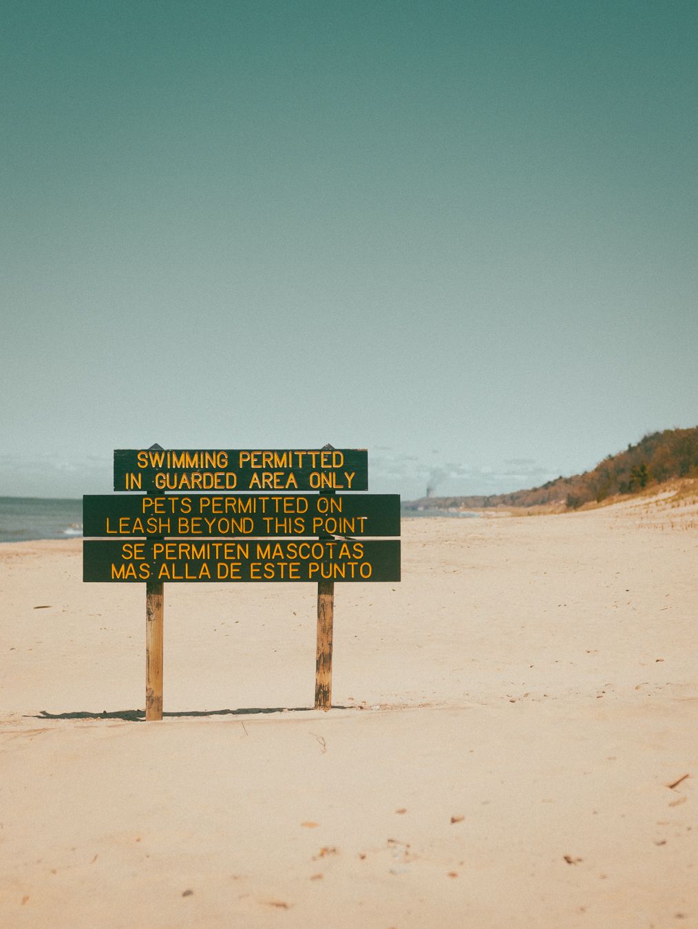 Beach sign permitting swimming in guarded area only, with bilingual pet leash rules, on a sunny sandy shoreline.