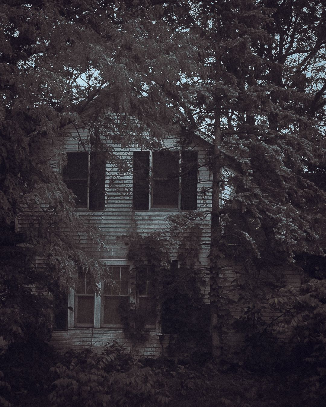 A dark and moody view of an old white house partially hidden behind overgrown trees in a gloomy setting.