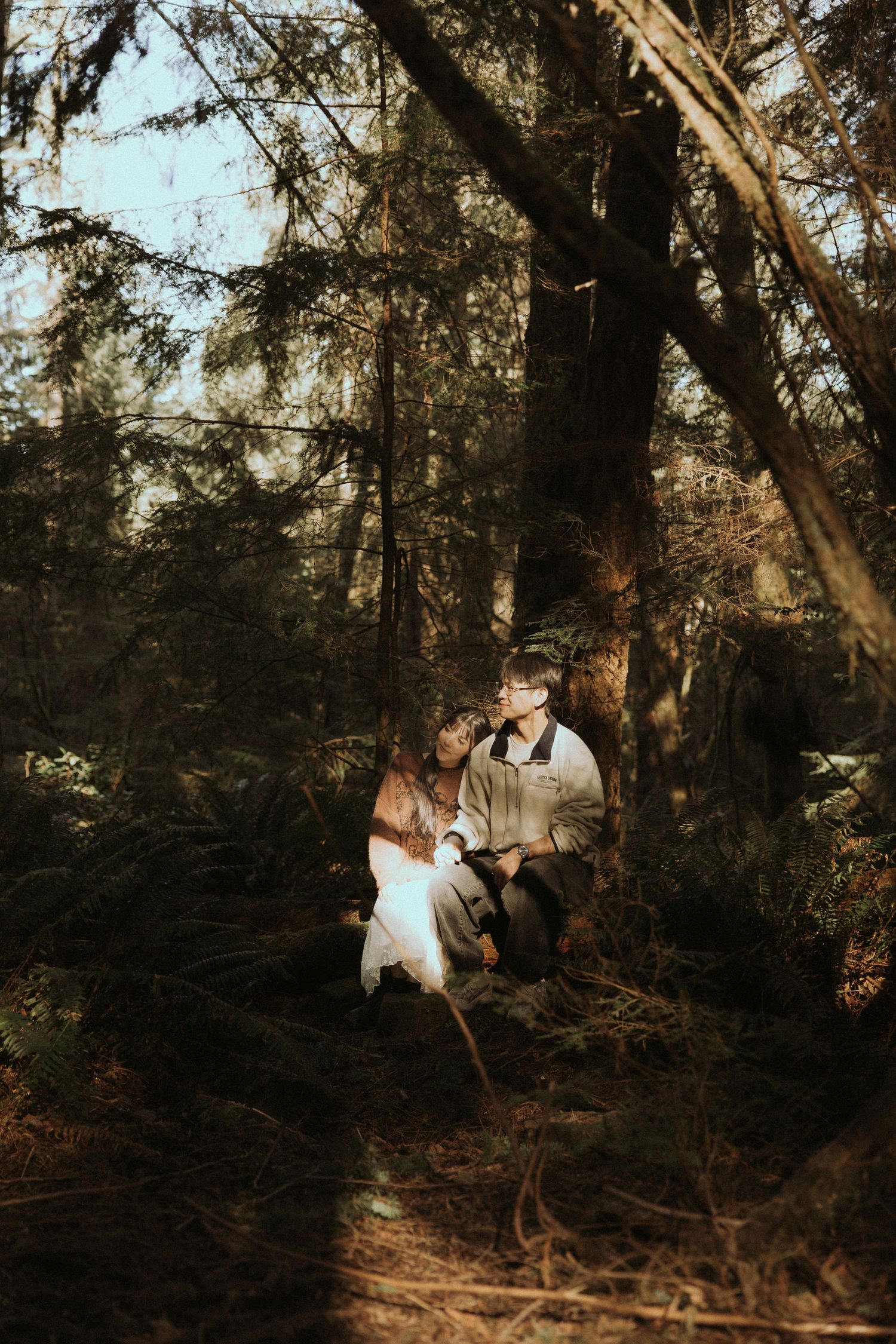 A couple sits together in a moody forest setting with sunlight filtering through the trees.