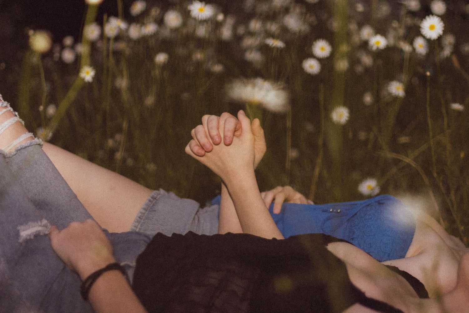 A person sits in a field of dandelion seeds at sunset with bokeh light effects in the background.