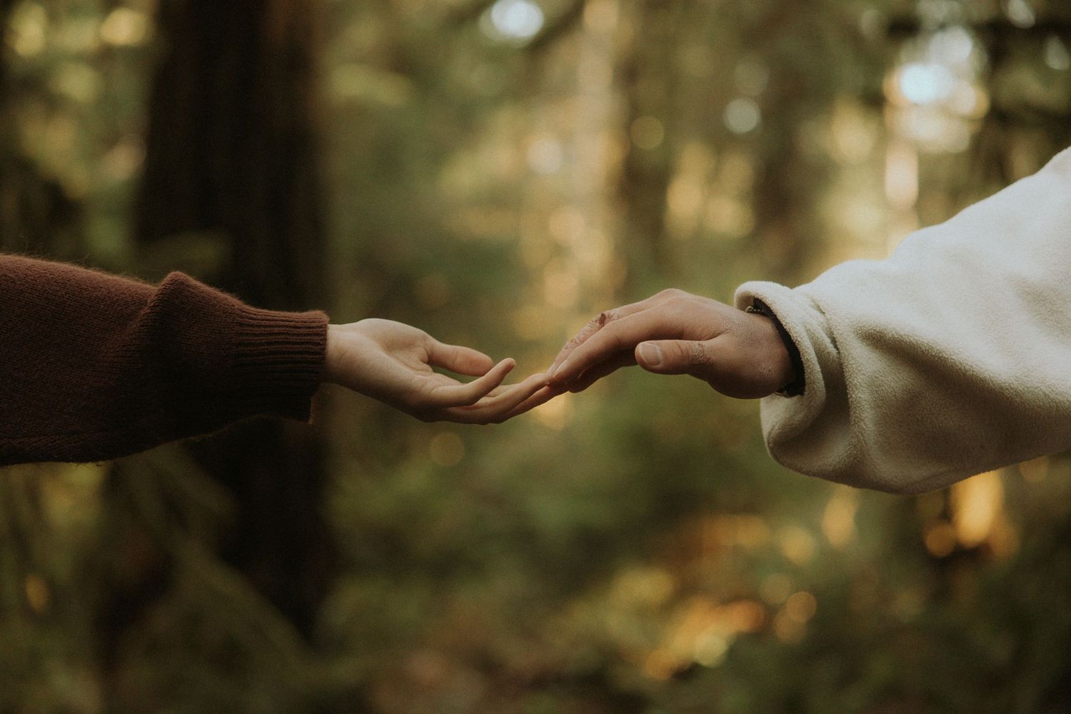 Close up of hands holding each other in tender embrace against blurred natural outdoor background.