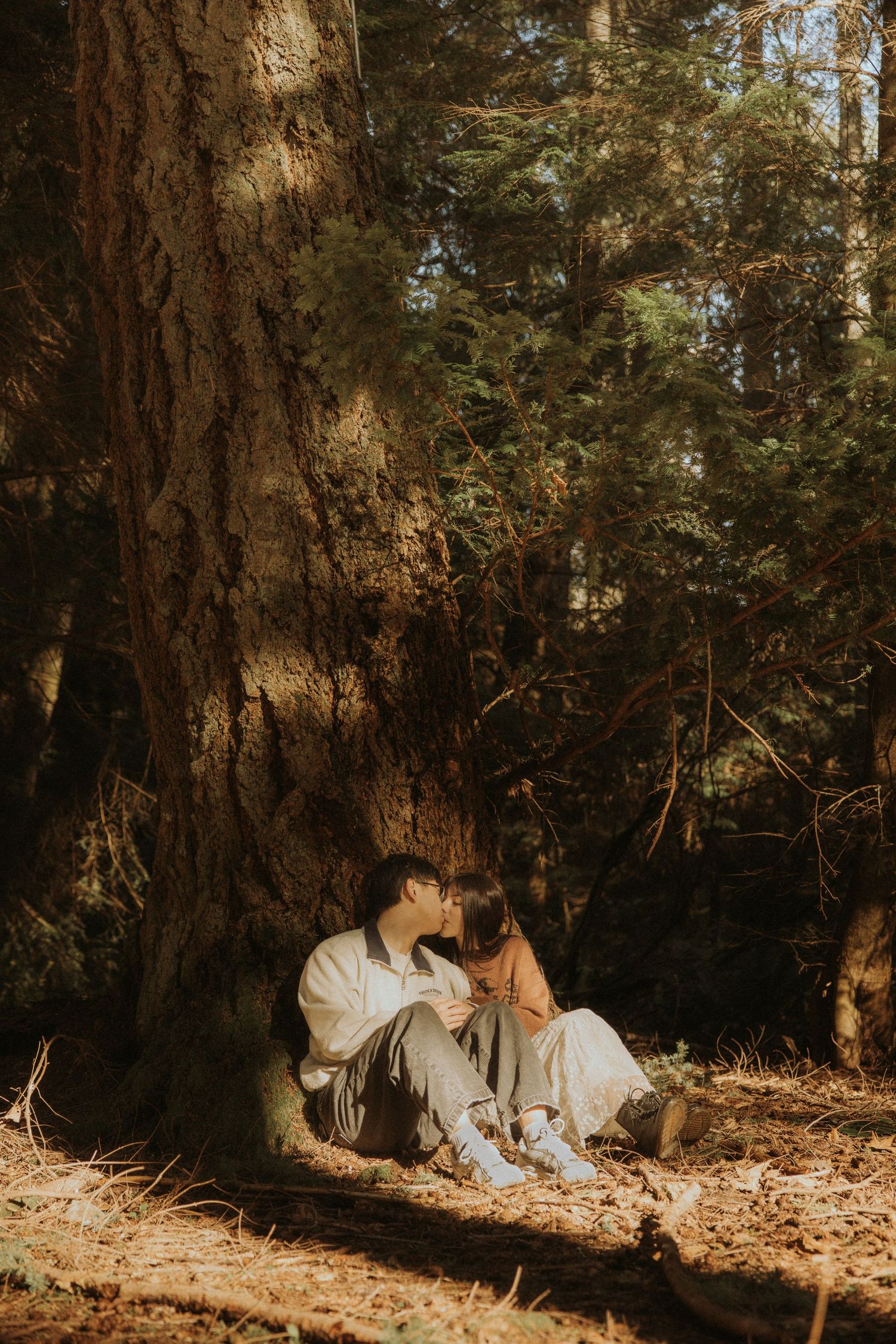 A couple sits together in a sunlit forest clearing surrounded by tall pine trees and fallen autumn leaves.