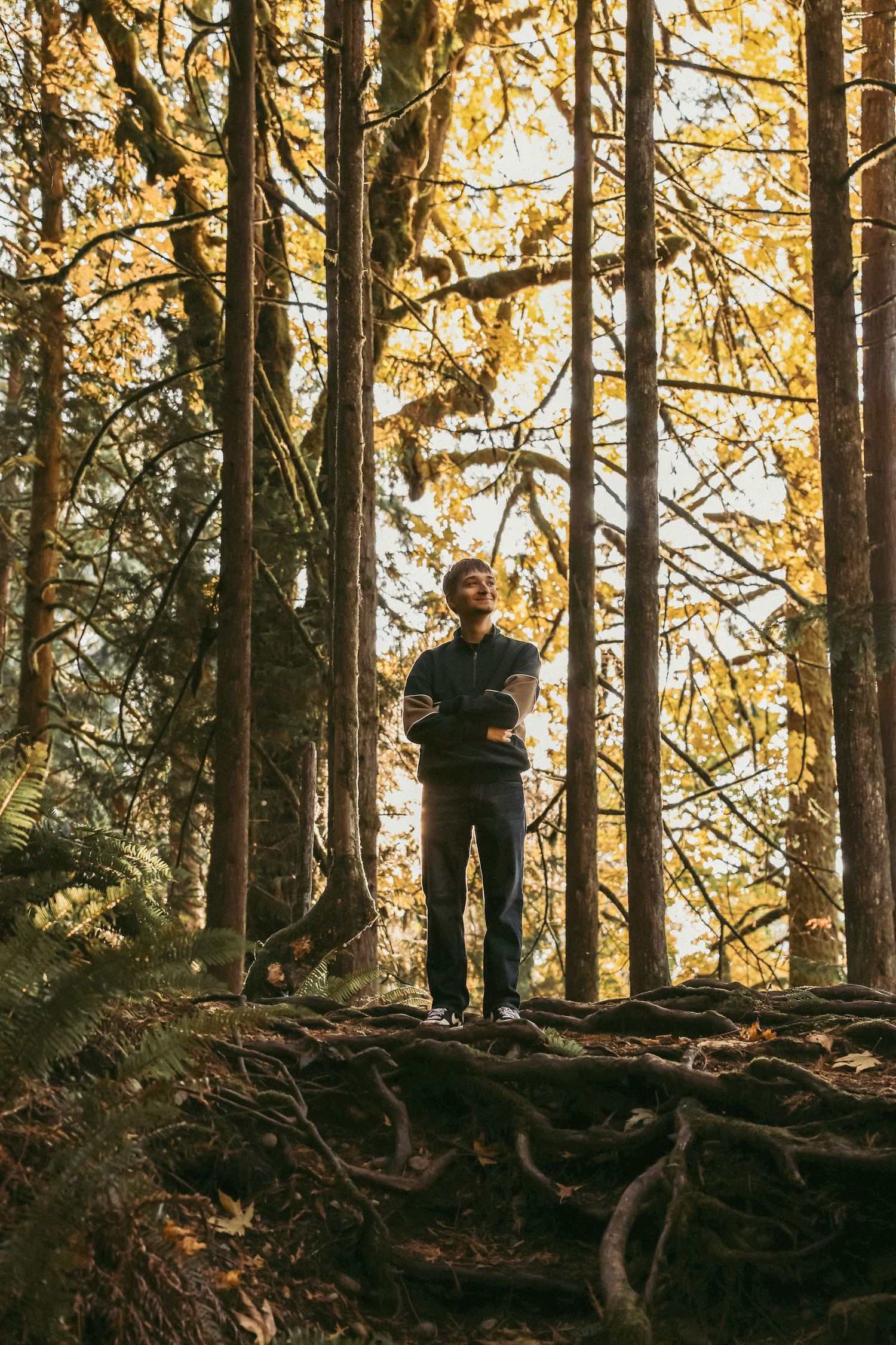 Silhouettes of people standing among tall trees in a forest during golden hour with sunlight filtering through branches.