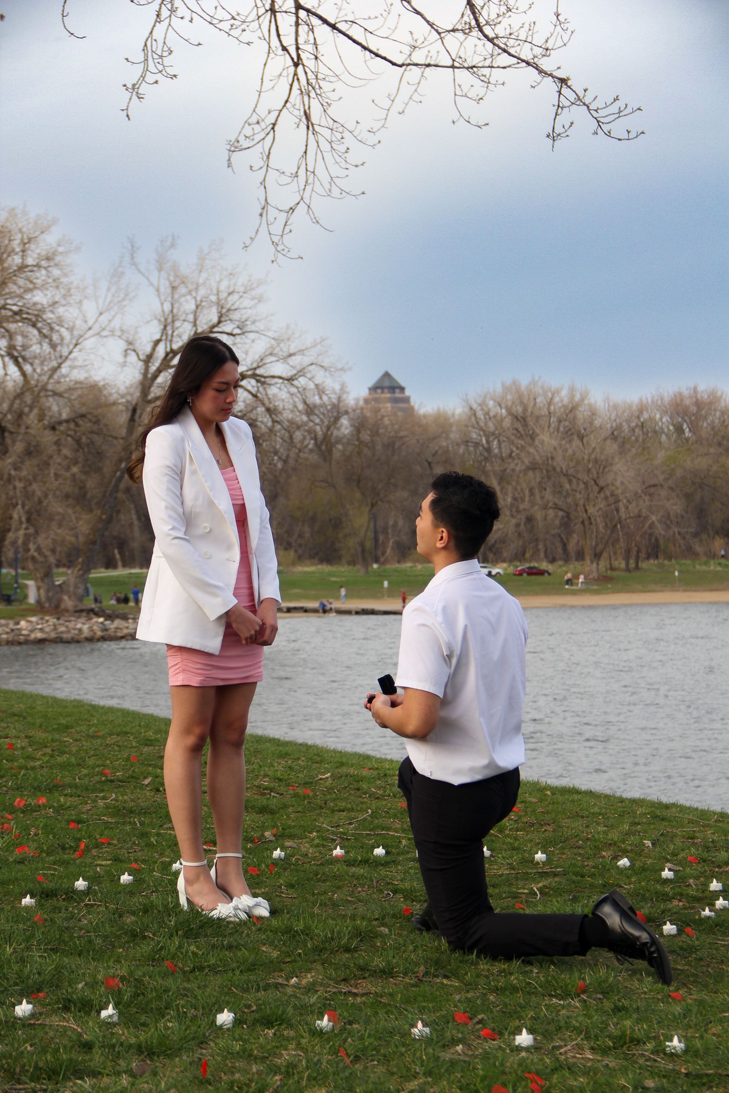 A romantic marriage proposal scene by a lake with scattered rose petals on the grass.