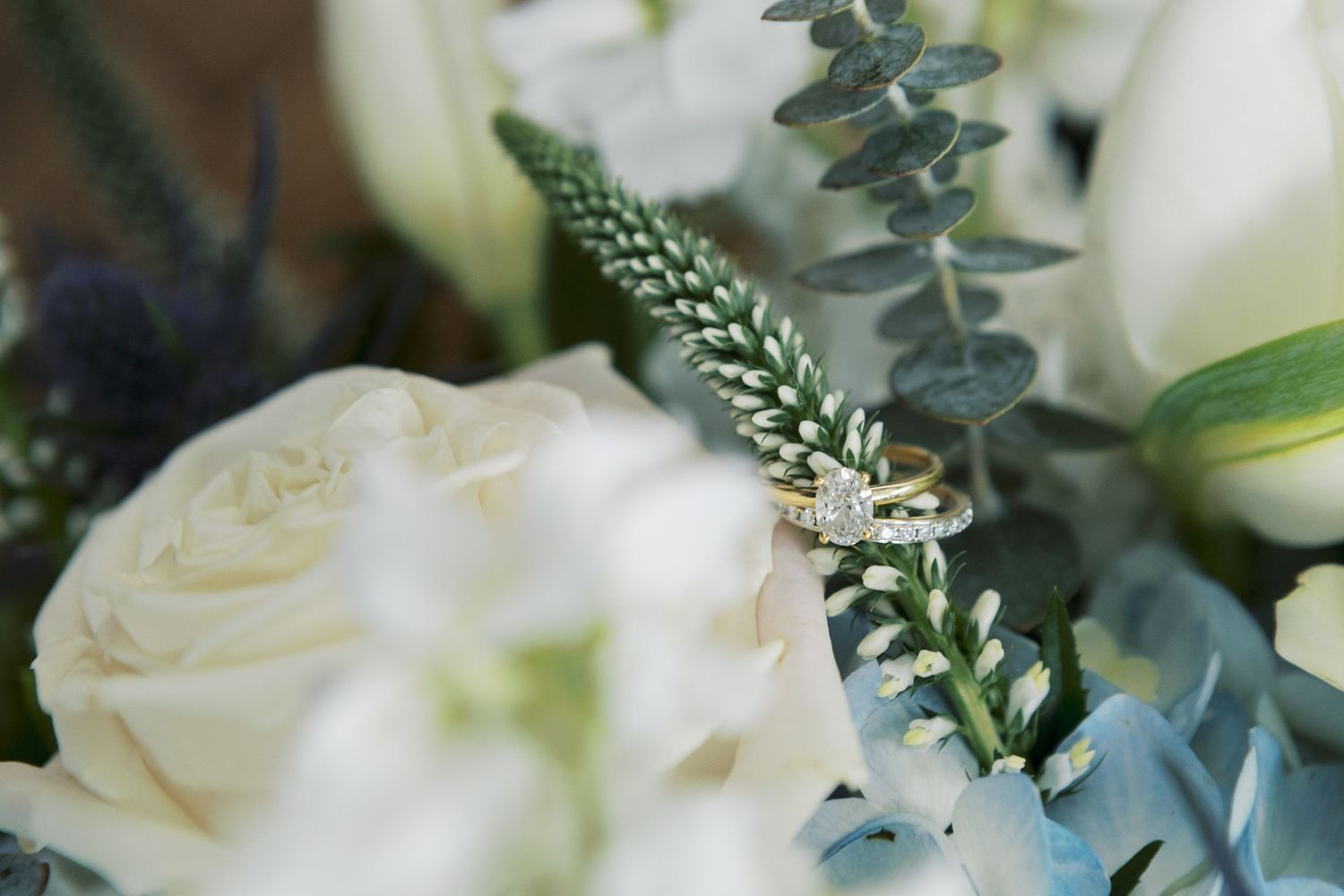 New Jersey wedding photographer offering coastal, candid and timeless wedding photography across South Jersey and Jersey Shore venues