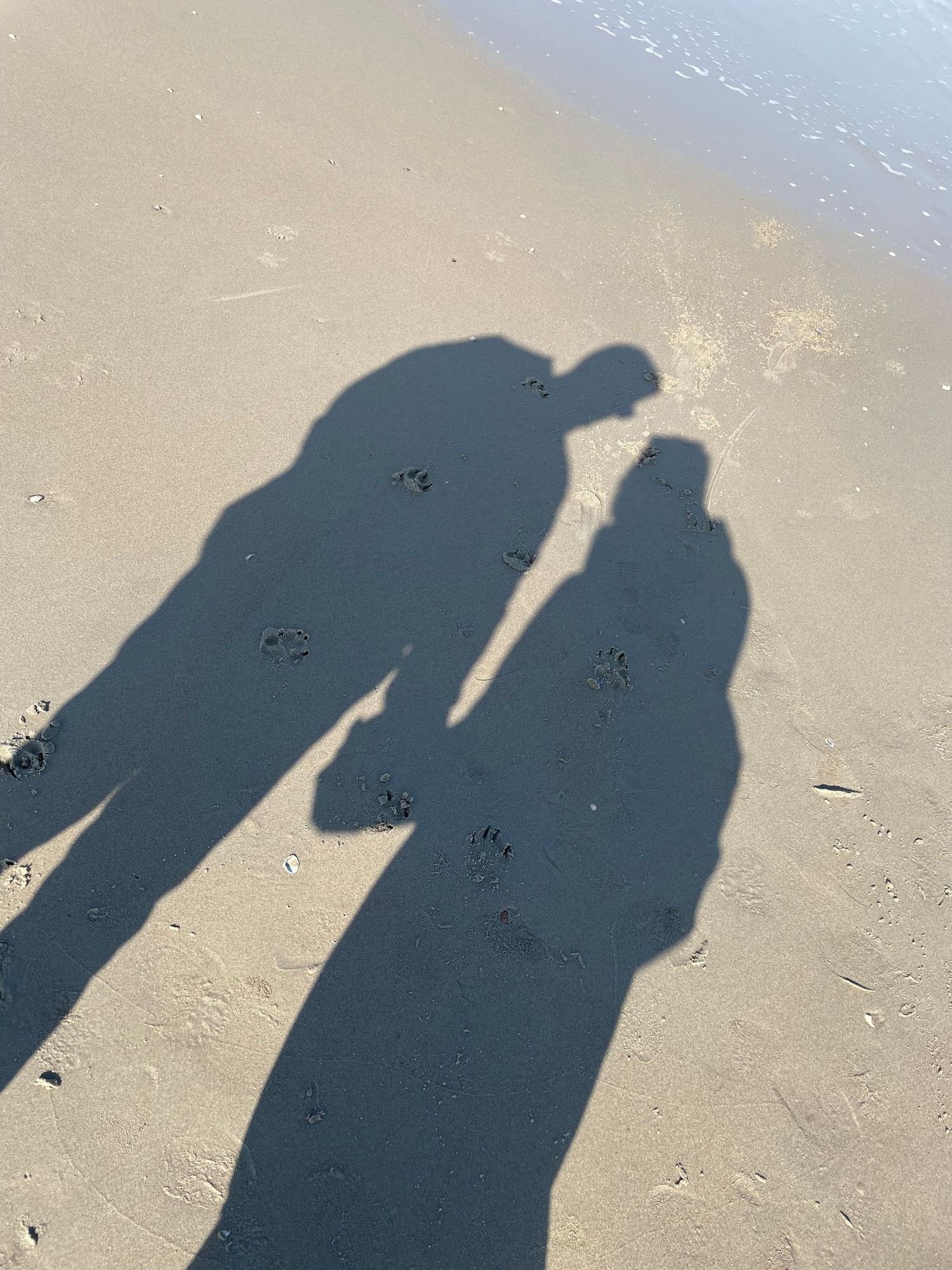 Two people holding hands casting shadows on a sandy beach near the ocean shoreline on a sunny day.