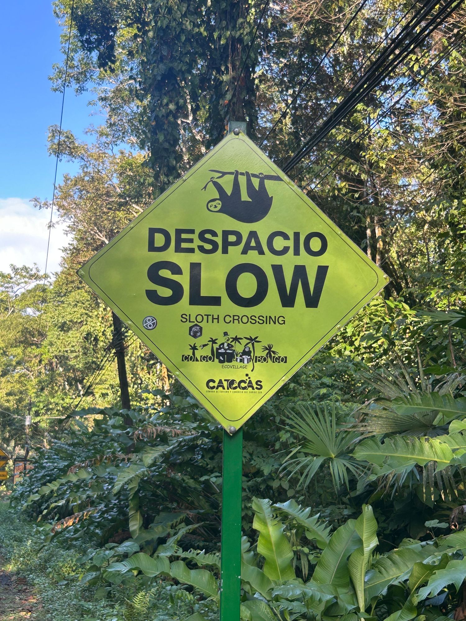 Bright yellow diamond-shaped sloth crossing warning sign reading Despacio Slow in a tropical jungle setting.