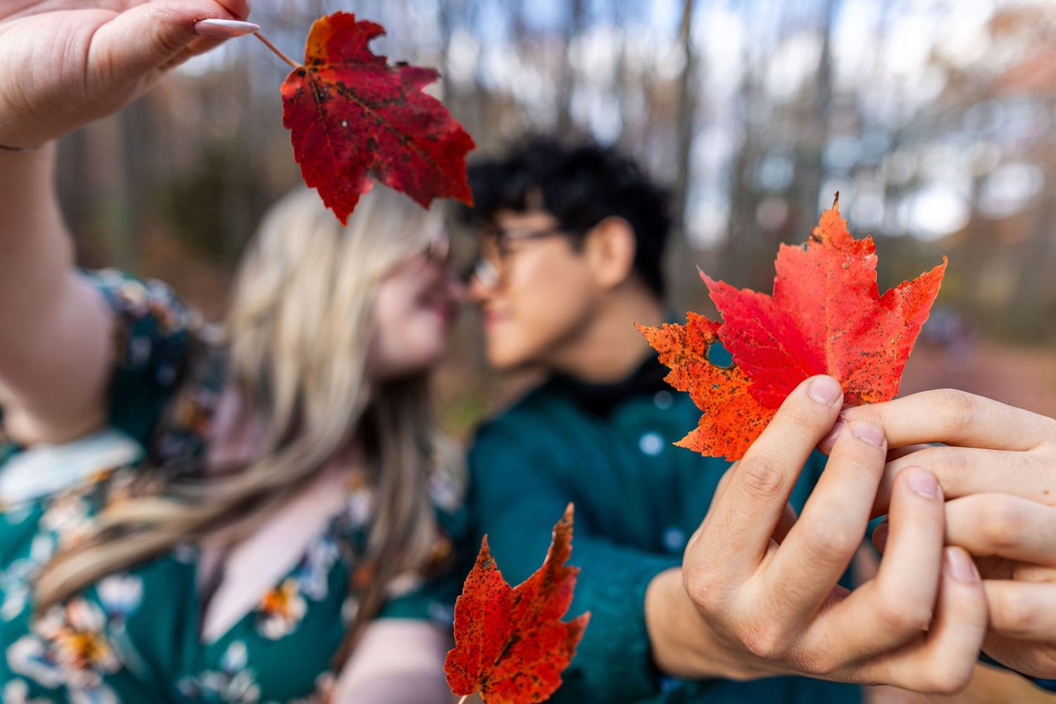 Couple sharing a romantic moment in autumn woods, holding vibrant red maple leaves in the foreground.
