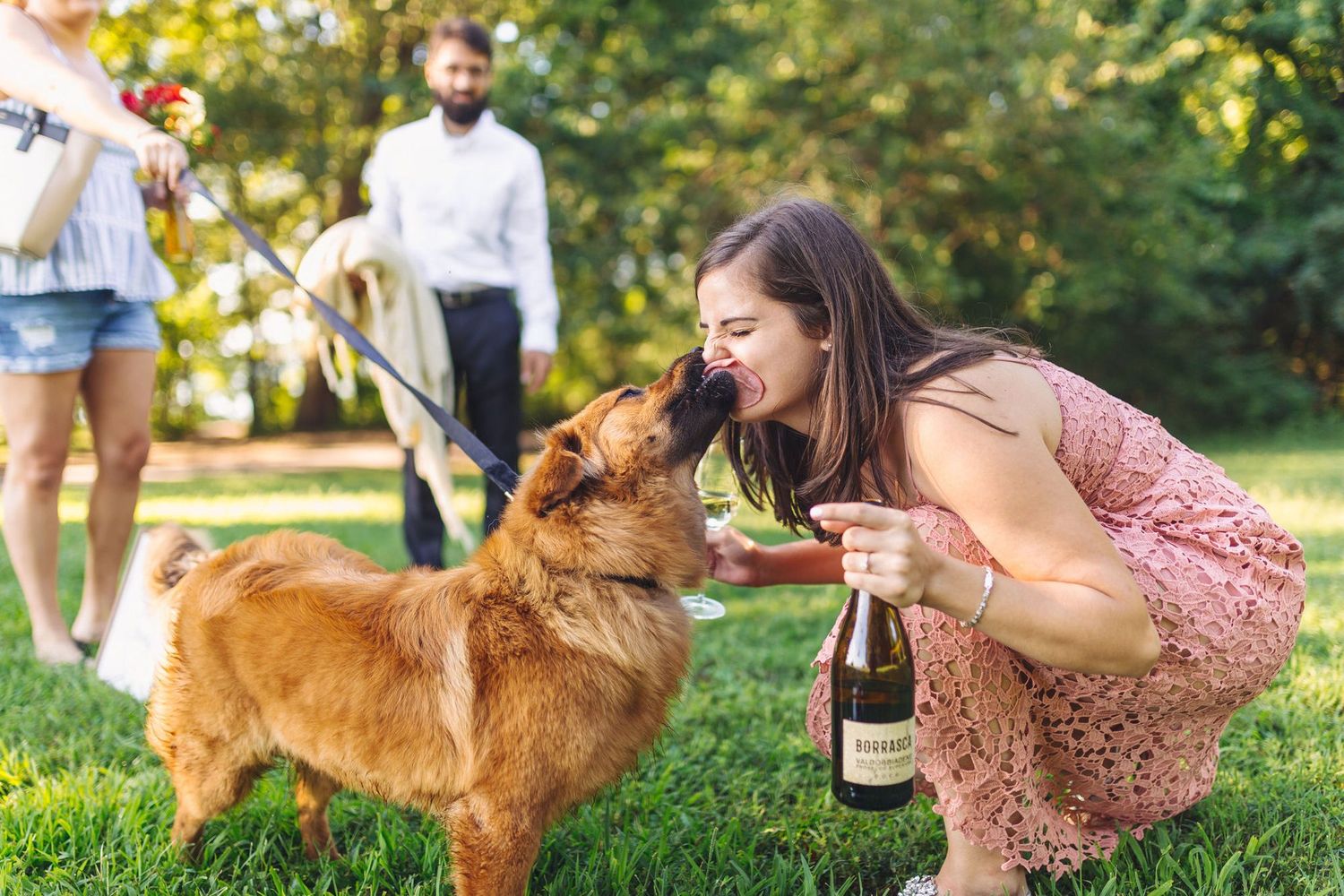 Woman in pink dress crouching on grass, letting golden dog lick her face while holding wine bottle outdoors.
