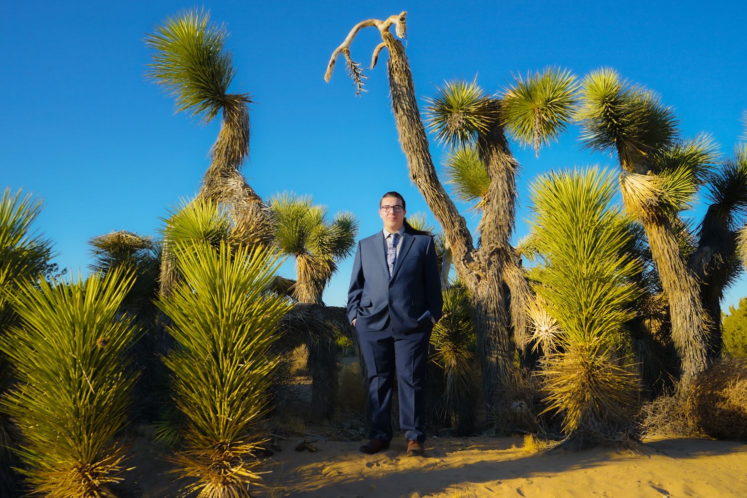 High school graduate wearing a blue suit standing in the middle of Joshua Trees in a desert preserve.