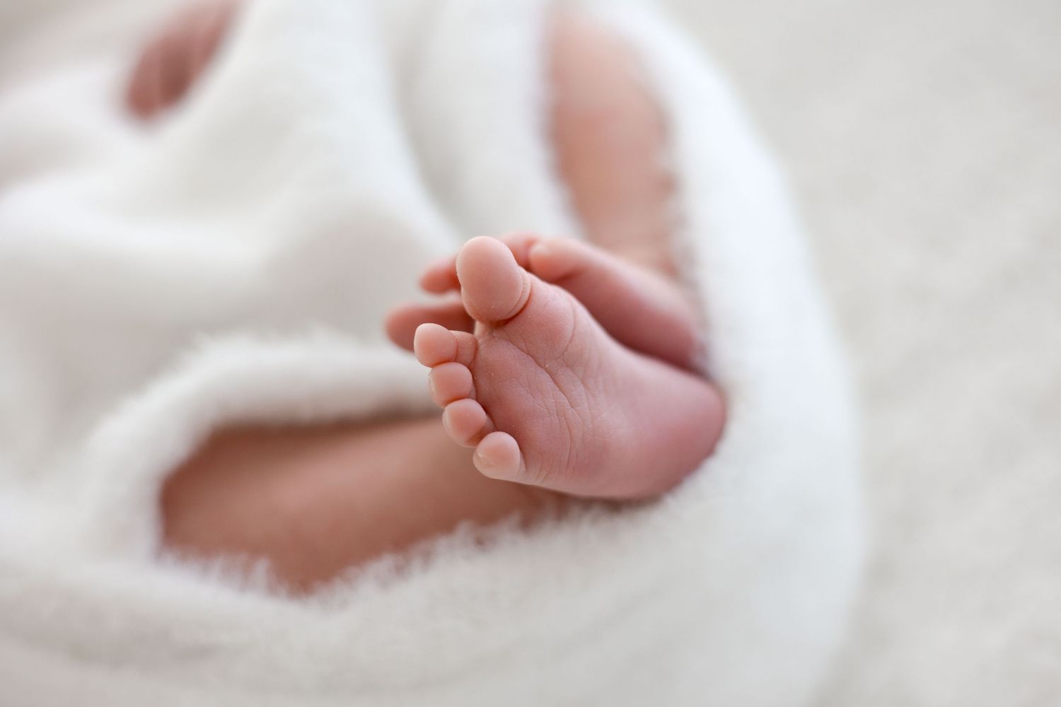 Close-up of tiny newborn baby feet wrapped in a soft white fluffy blanket.