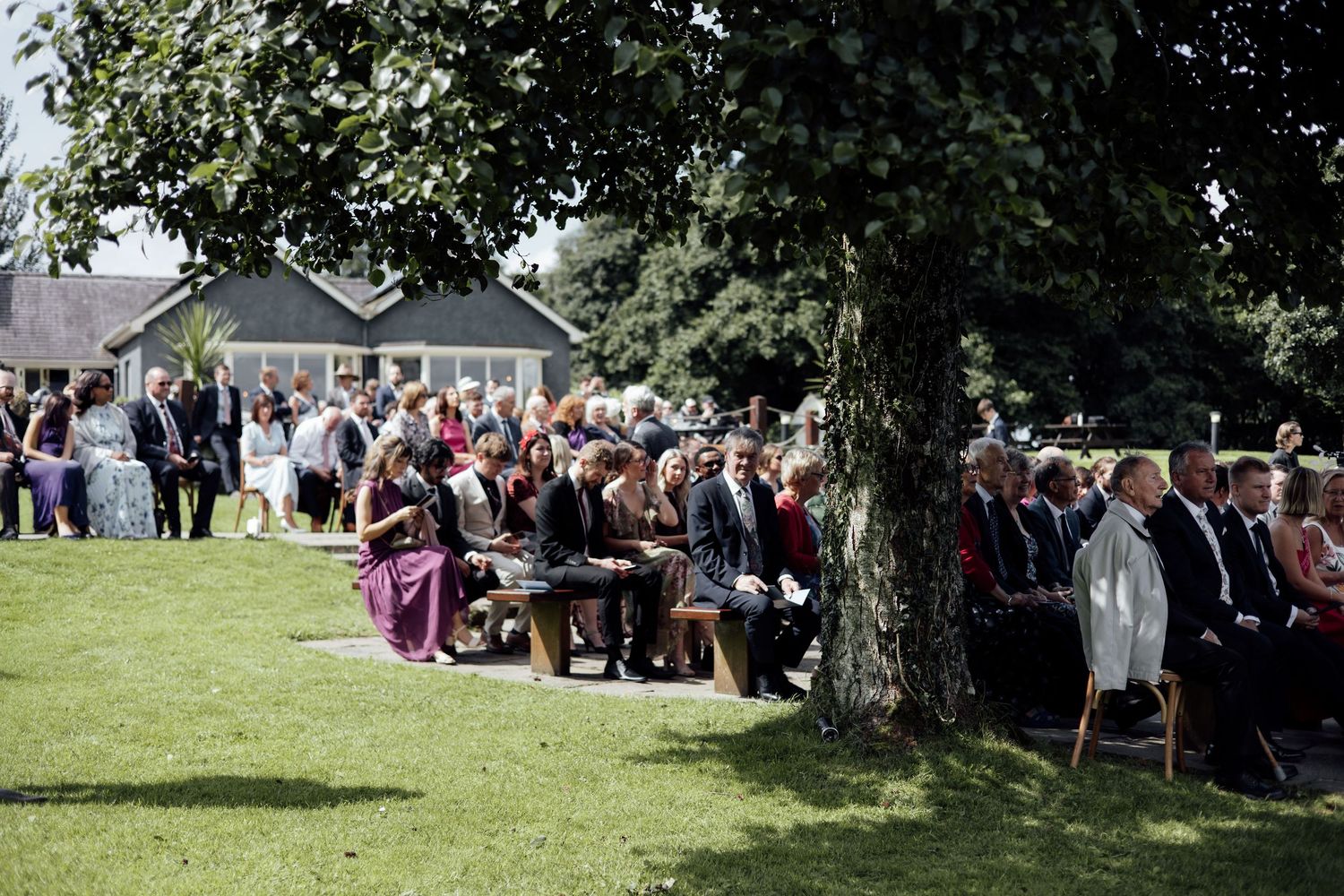Guests seated on chairs in rows on a sunny lawn during an outdoor wedding ceremony near a large tree.