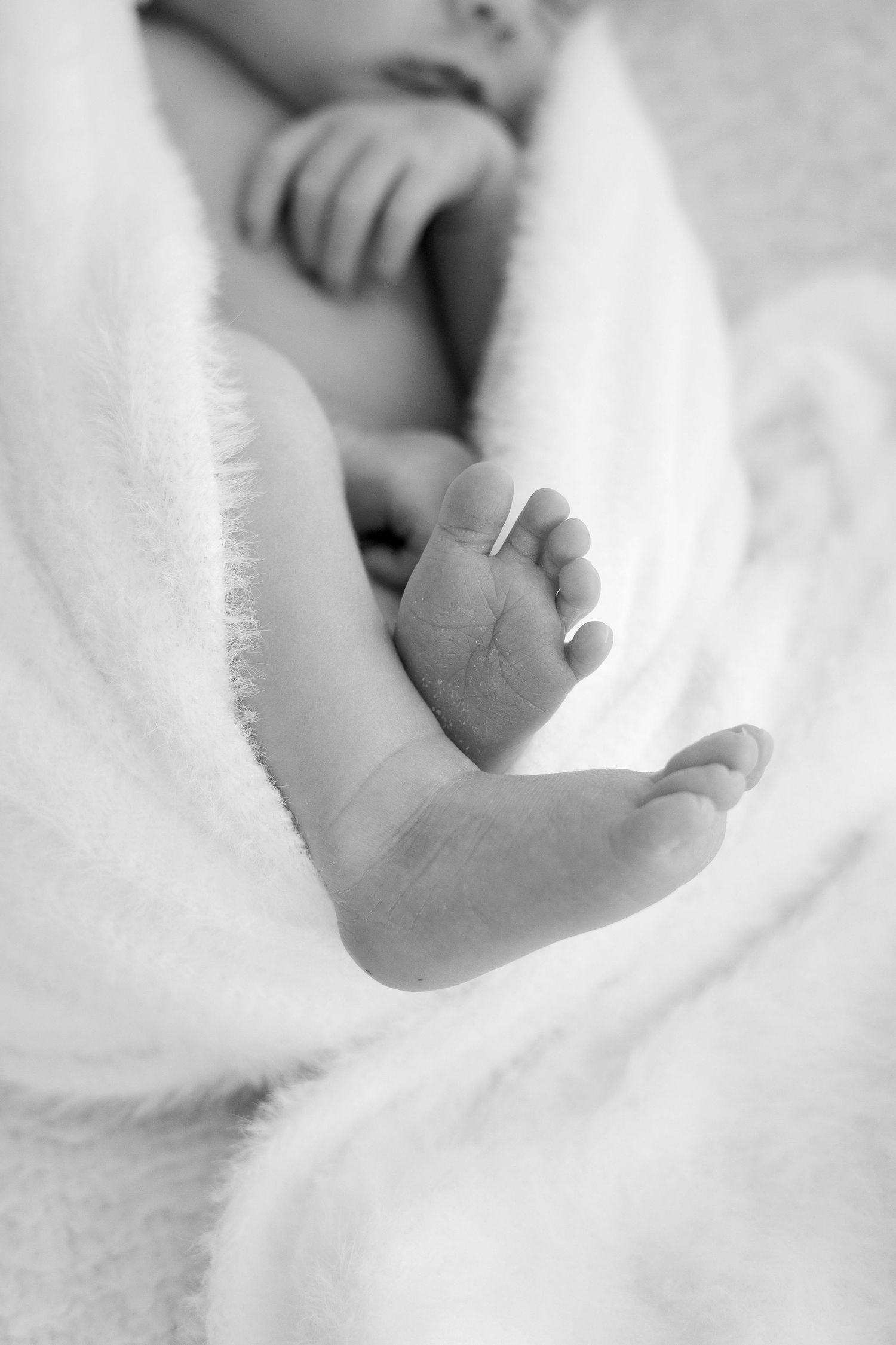 Close-up black and white photo of tiny newborn baby feet peeking out from a soft white blanket.