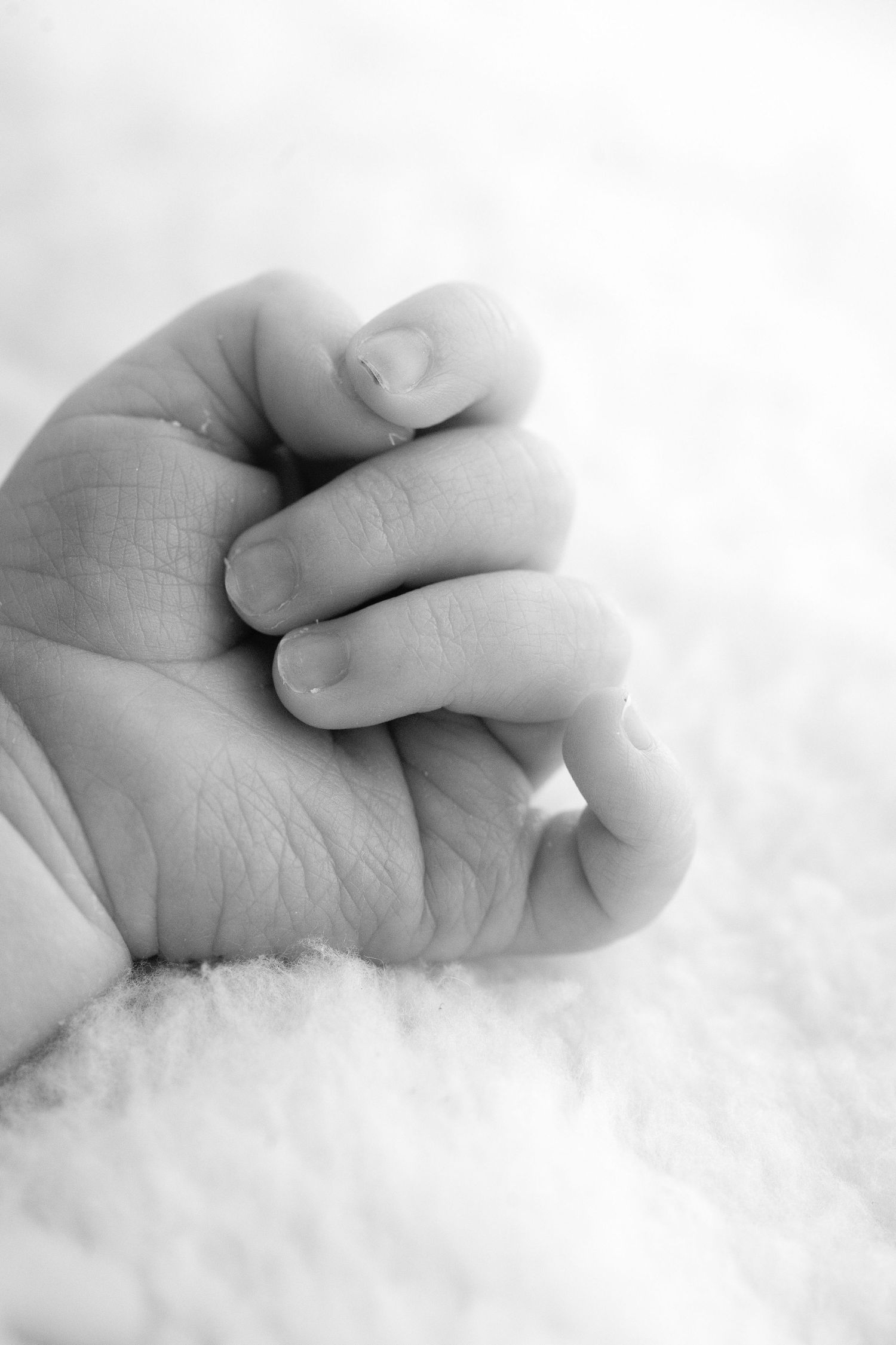 Close-up black and white photo of a newborn baby's tiny clenched fist resting on a soft white blanket.
