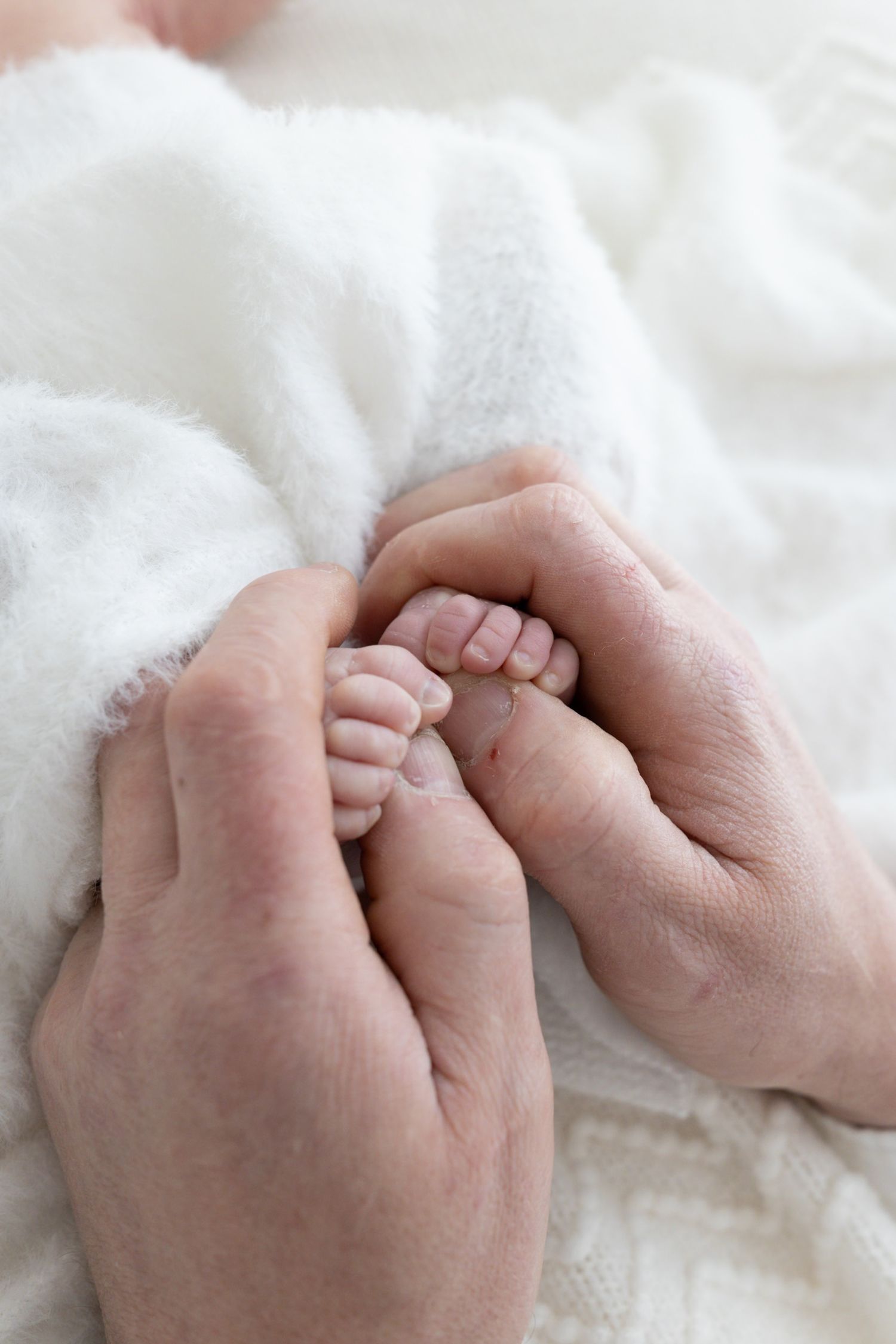 Close-up of adult hands gently holding tiny newborn baby feet and hands.