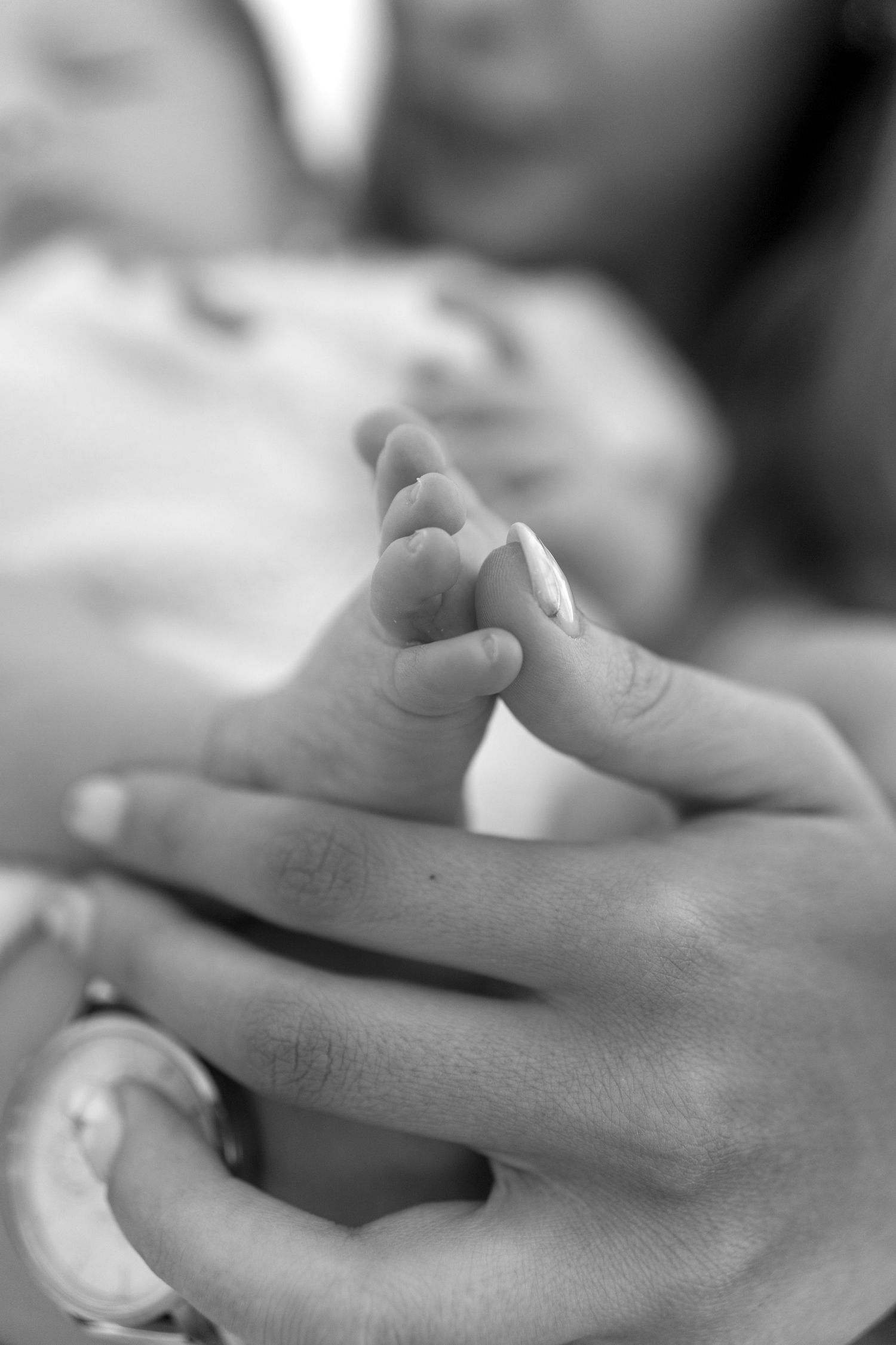 Maternity photography Northern Ireland

Newborn photography Northern Ireland

Maternity photographer Co Fermanagh

Newborn photographer Co F