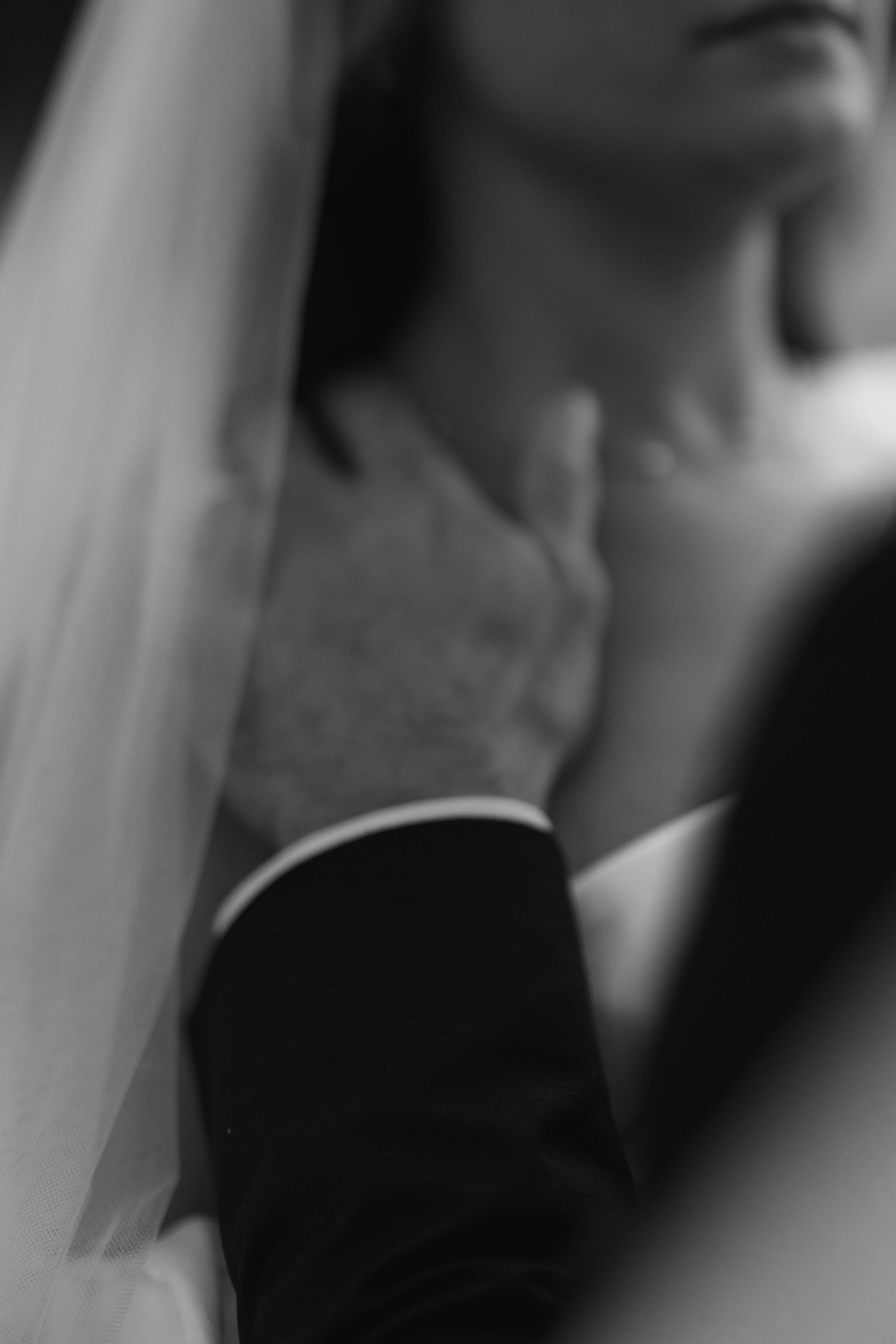 Black and white wedding photo of groom tenderly touching bride's neck, with veil draped softly in the background.