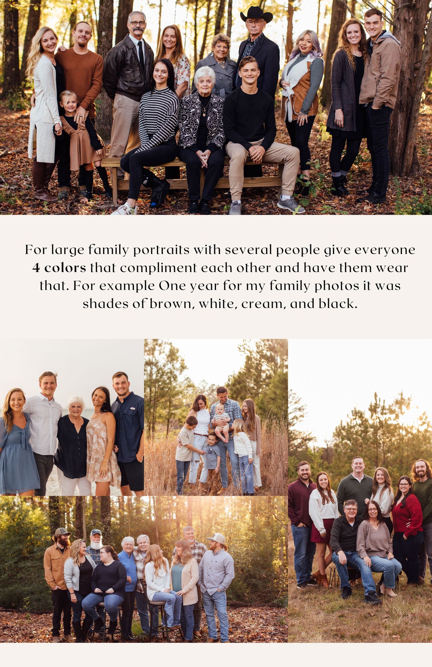 Guide for large family portrait color coordination with group photo examples.