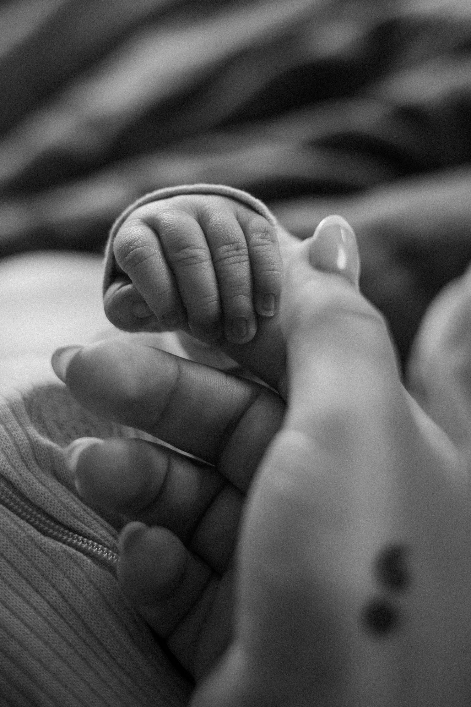 Black and white photo of a newborn baby's tiny hand gently gripping an adult's finger, symbolizing new life and parental bond.