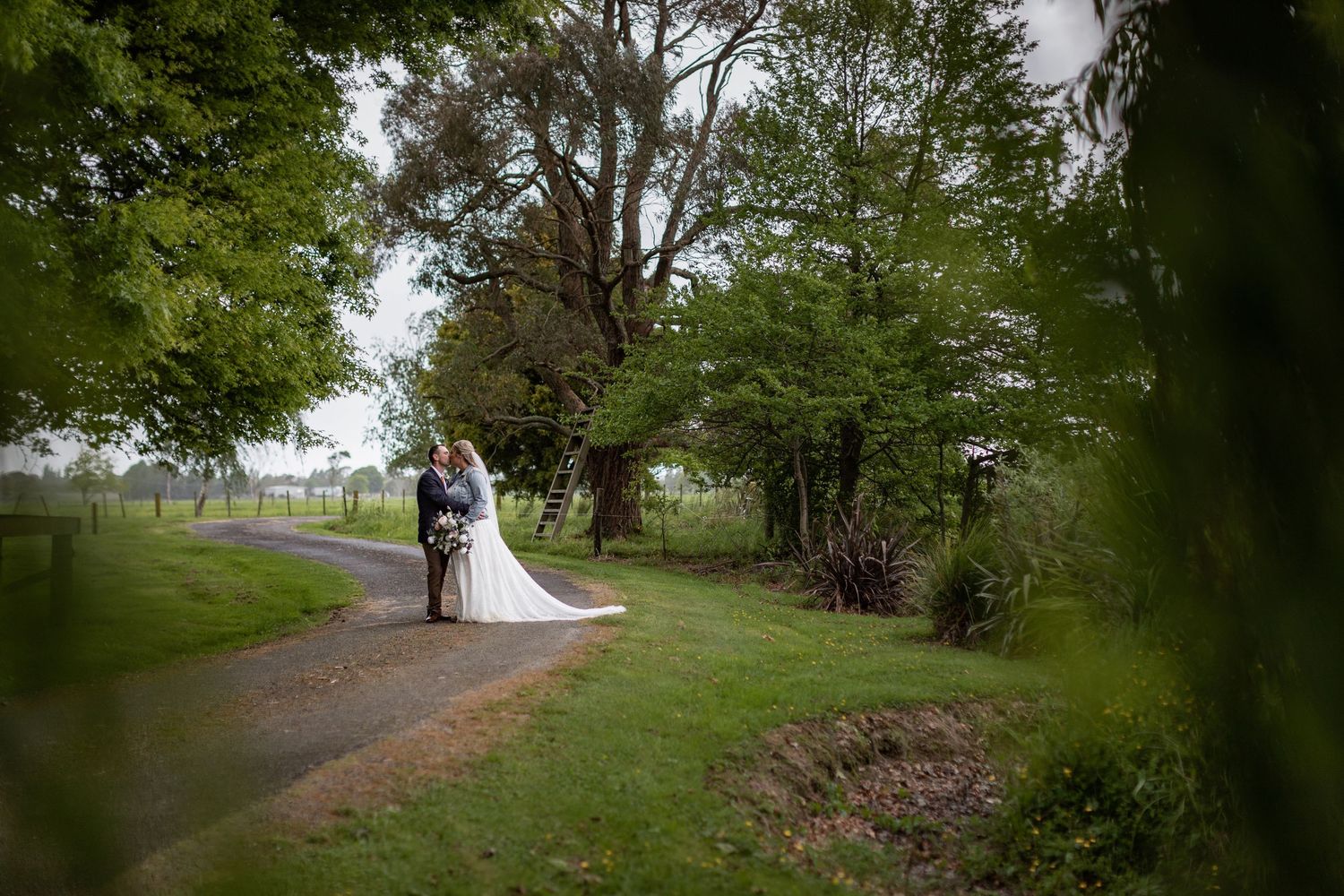 A tree-lined path in a lush garden setting creates a romantic walkway under natural green canopy.