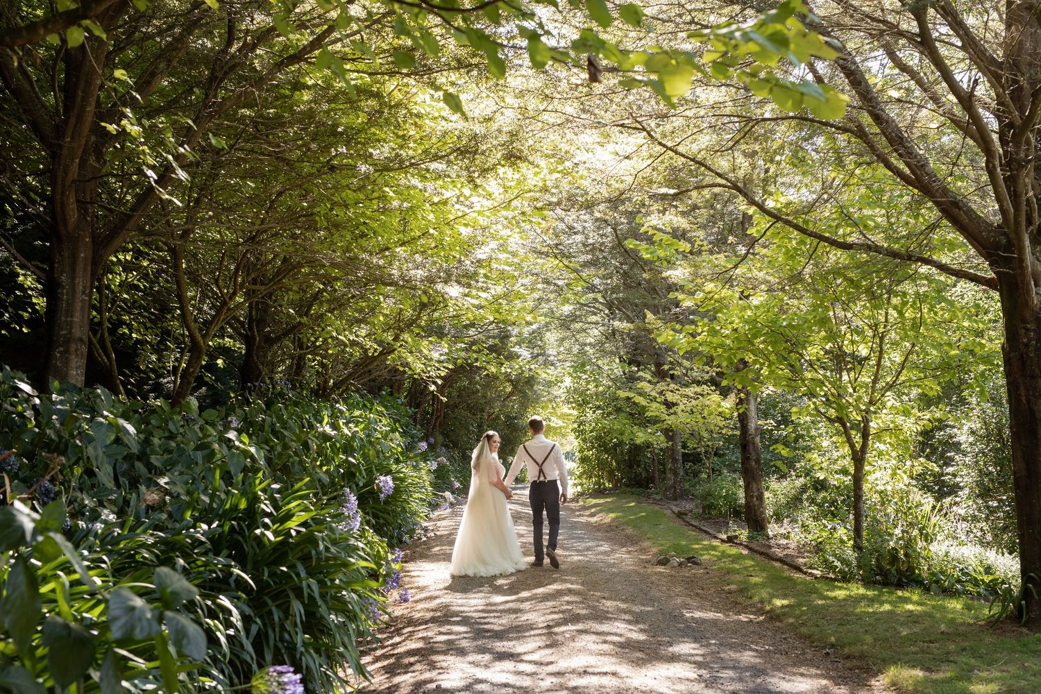 A picturesque curved path winds through a lush green garden with overhanging trees creating dappled sunlight.