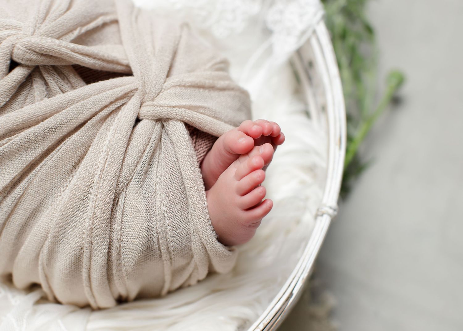 Close-up of tiny baby feet wrapped in beige fabric in white bowl. Cambridge Waikato NZ Photographer