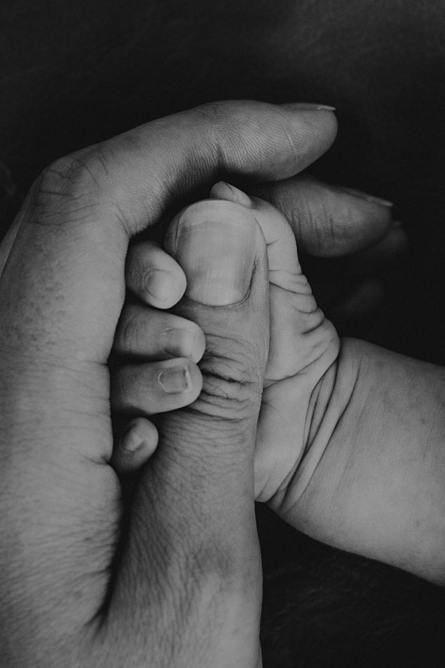 Close-up black and white photo of an adult hand holding a baby's tiny hand tenderly. Cambridge Waikato NZ Photographer. White Locket