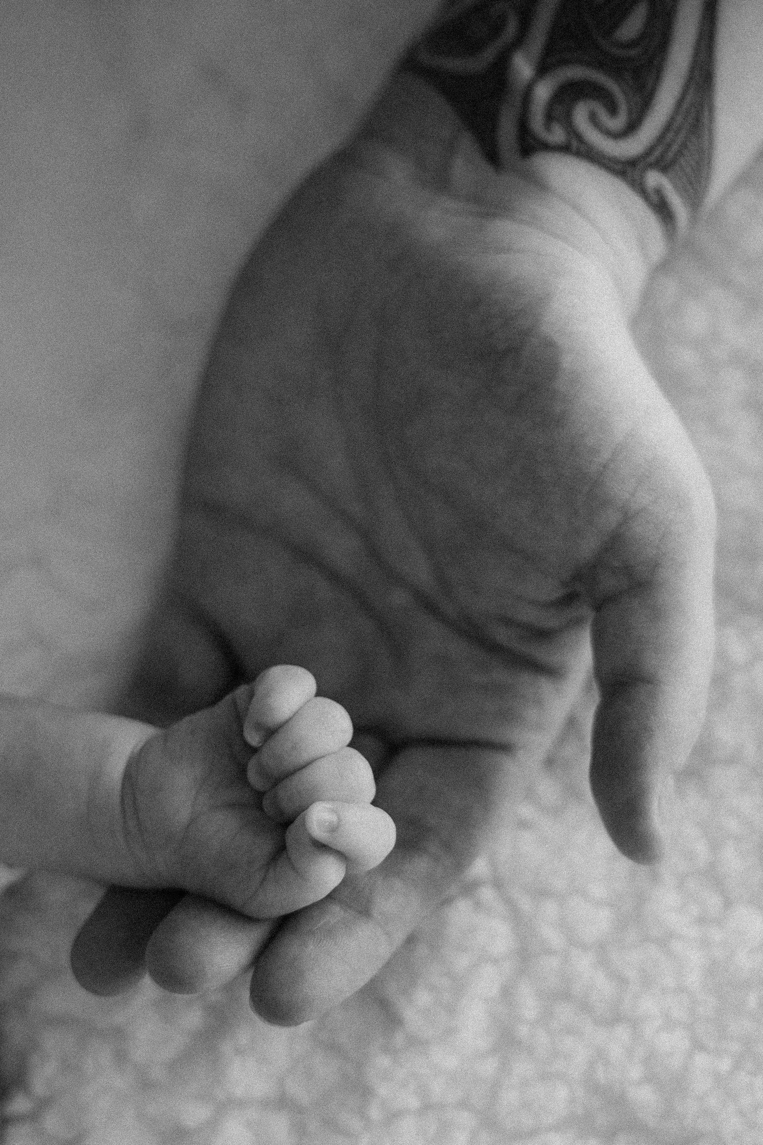 Black and white photo of a newborn baby hand gently held in a tattooed parent's palm.