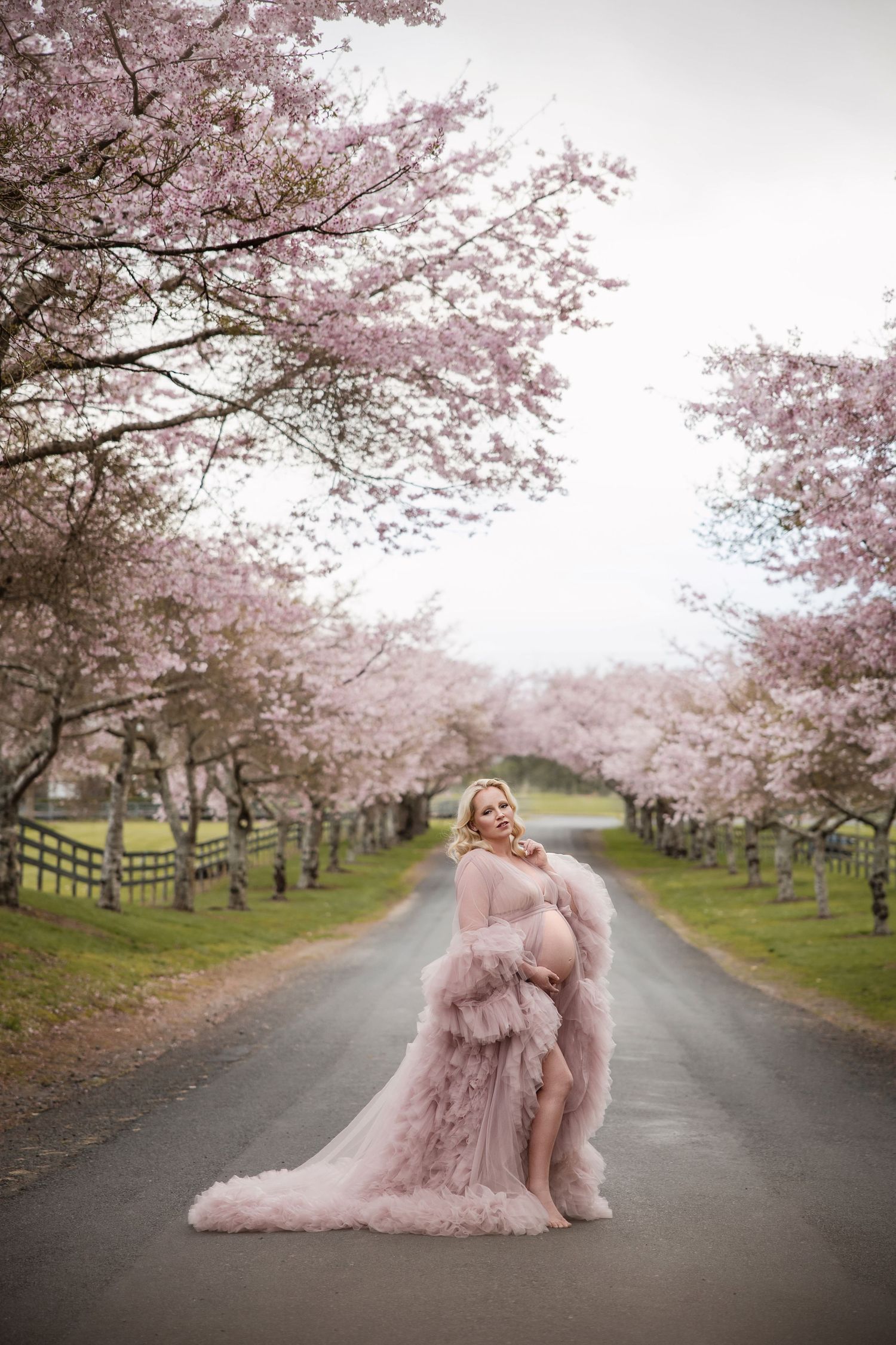 Pregnant woman in pink tulle gown poses on a tree-lined path surrounded by blooming cherry blossoms.