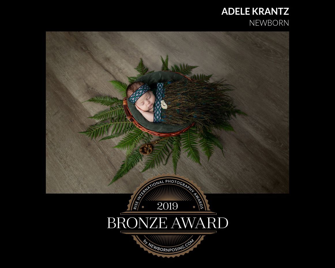 A small Christmas tree ornament nestles in pine branches against a textured gray background with Bronze Award text below.