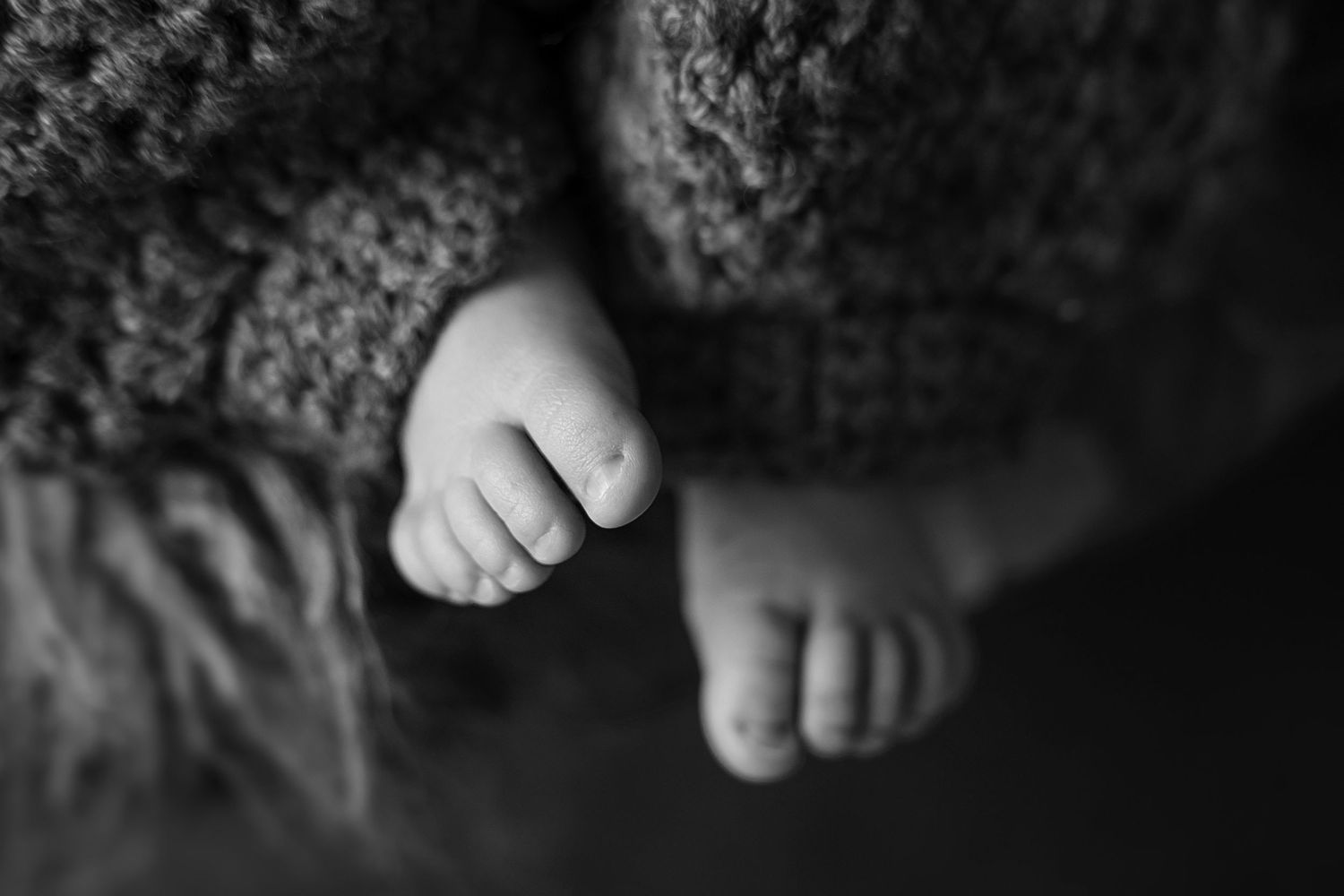 Close-up black and white photo of tiny baby feet wrapped in soft knitted blanket.