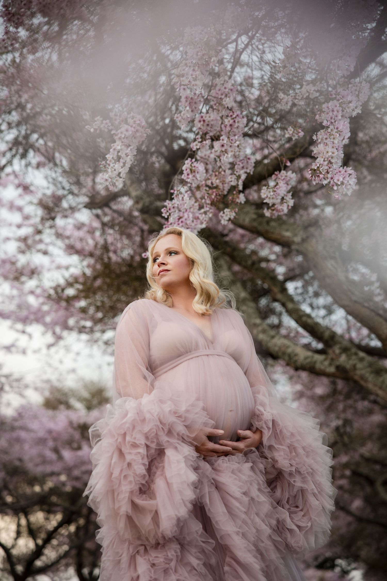 A dreamy portrait in soft pink tones shows a figure in a tulle gown beneath blooming cherry blossom trees.