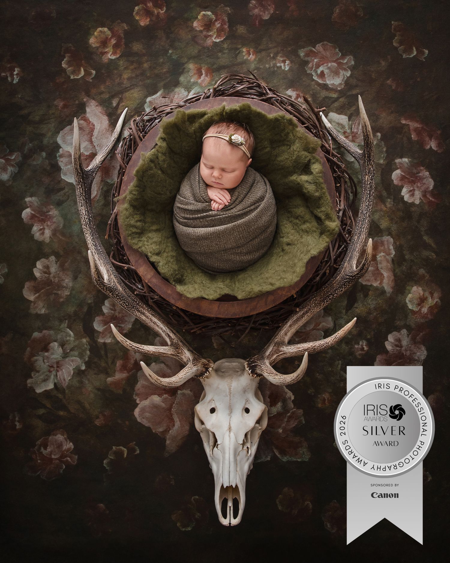 Award-winning newborn photo of sleeping baby wrapped in gray, nestled in antlers with green moss, on floral dark background.