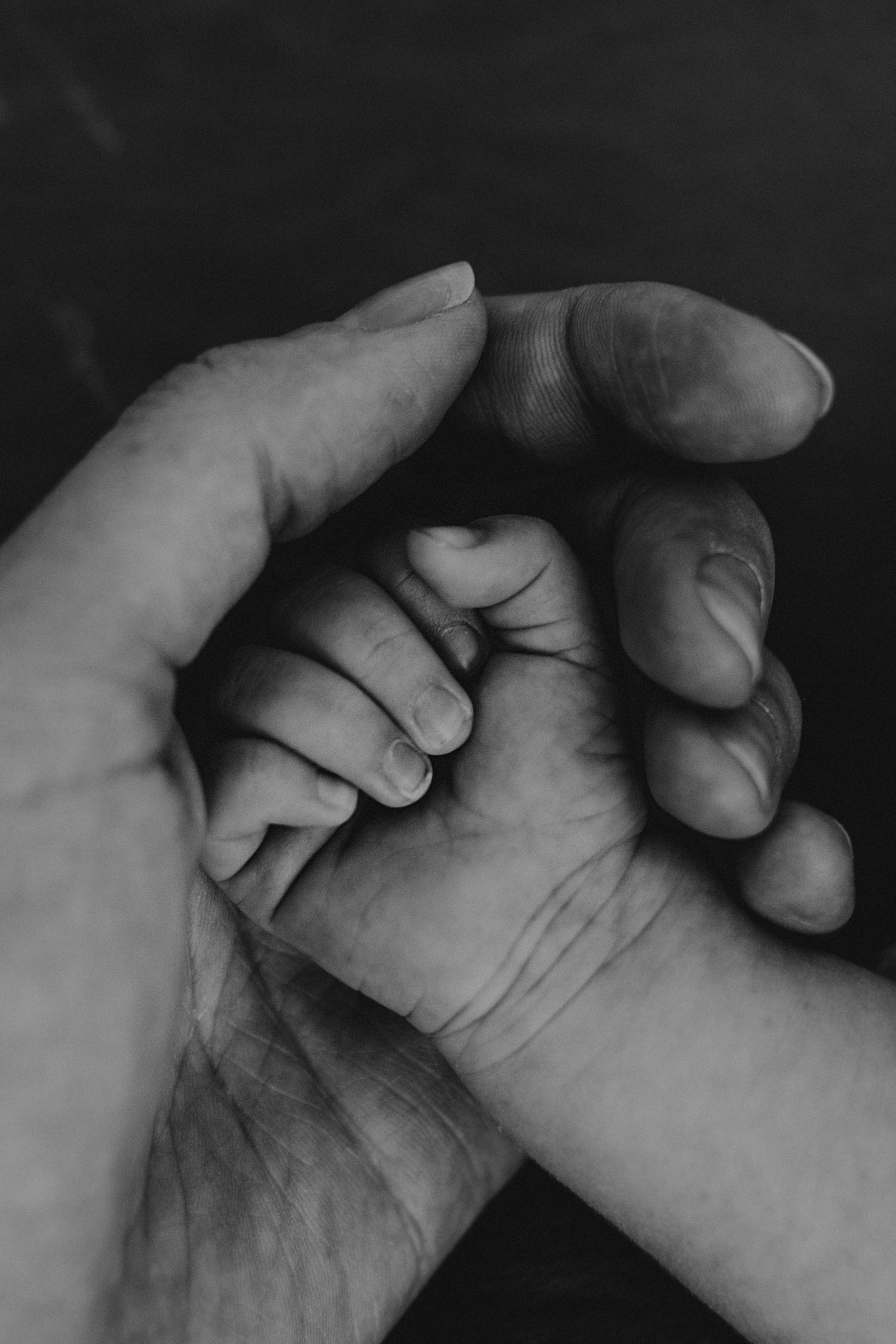 Intimate black and white image of a small infant's hand being held by an adult hand. Cambridge Waikato NZ Photographer. White Locket