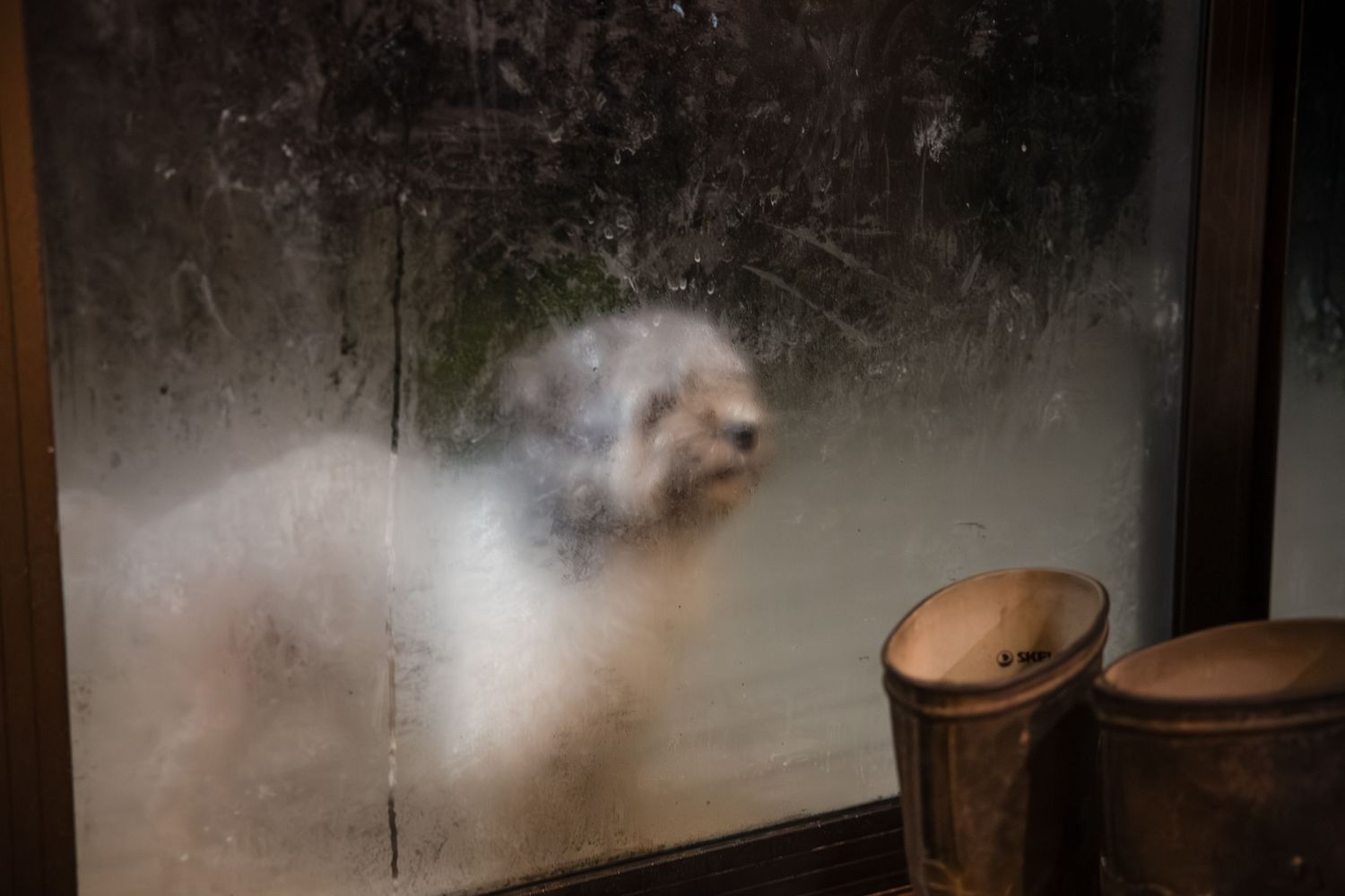 Frosted window panes creating a misty, ethereal view of the outdoors.