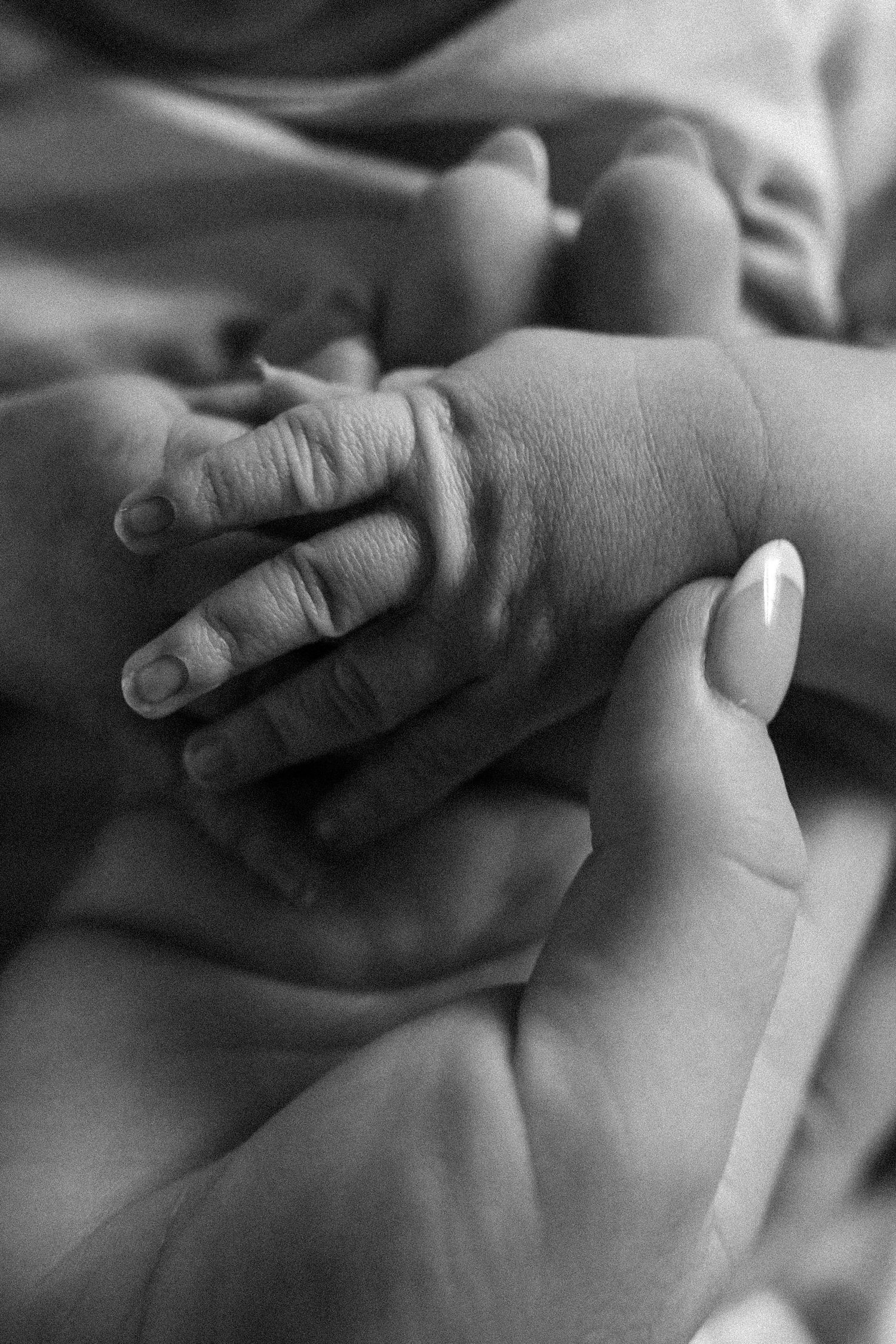 Black and white close-up of a newborn baby's tiny hand gently grasping an adult's finger.