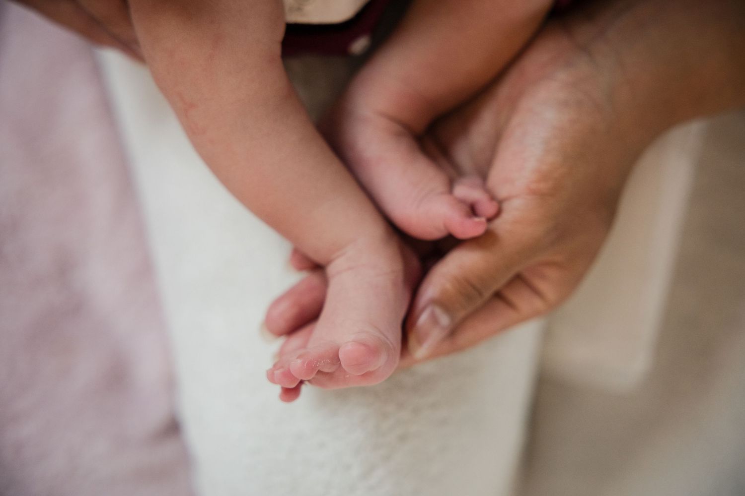 Adult hands gently cradling tiny newborn baby feet, showcasing the delicate bond between parent and infant.