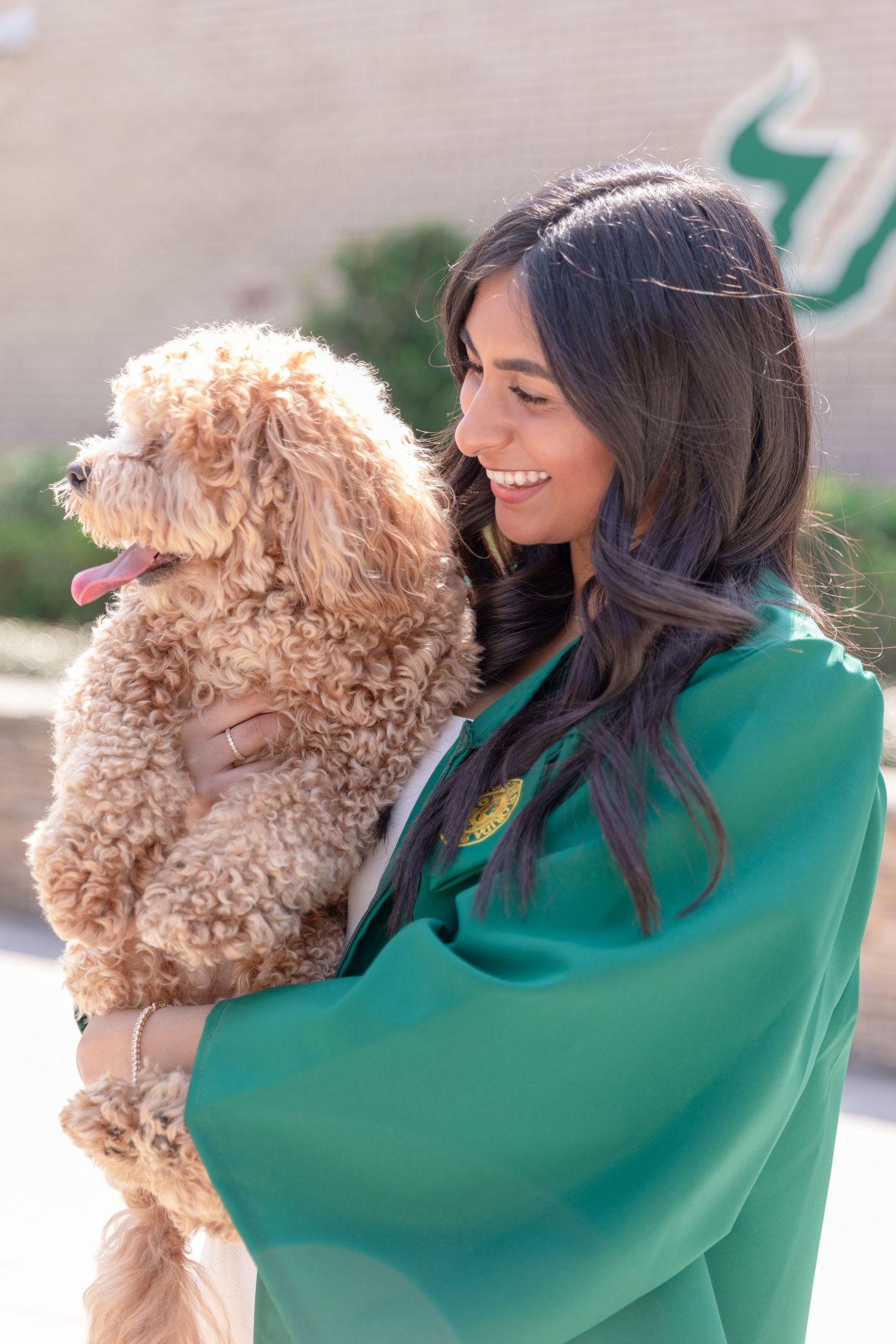 Playful moment between person in green graduation gown and fluffy goldendoodle dog outdoors.