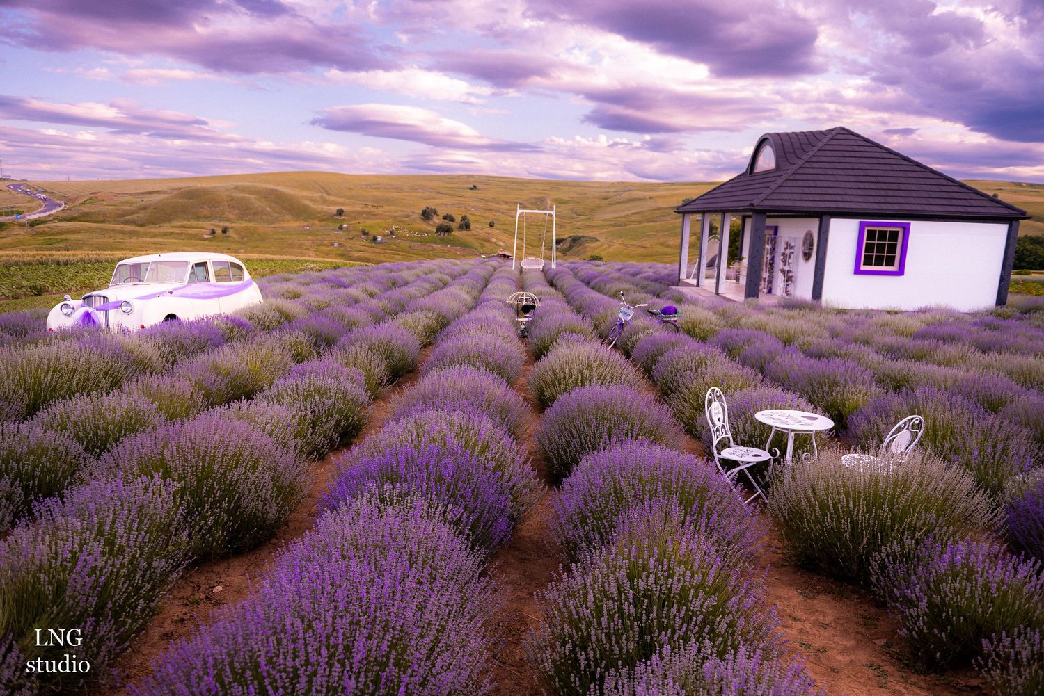 White cottage house with lavender fields and outdoor seating under dramatic purple sky.