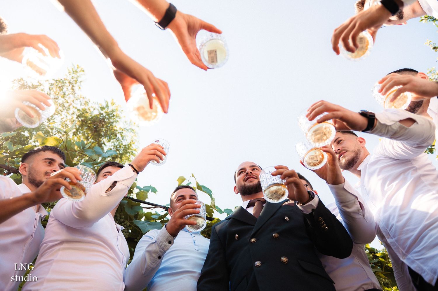Low angle shot of group toasting with drinks against sunny outdoor background.