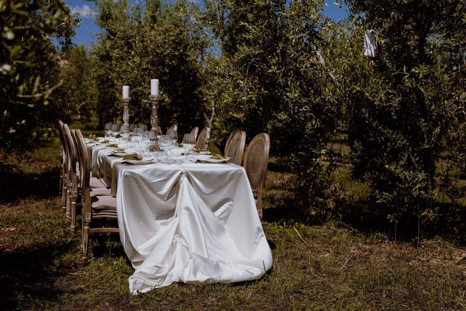 Beautiful wedding table decoration set among olive trees in Istria, Croatia