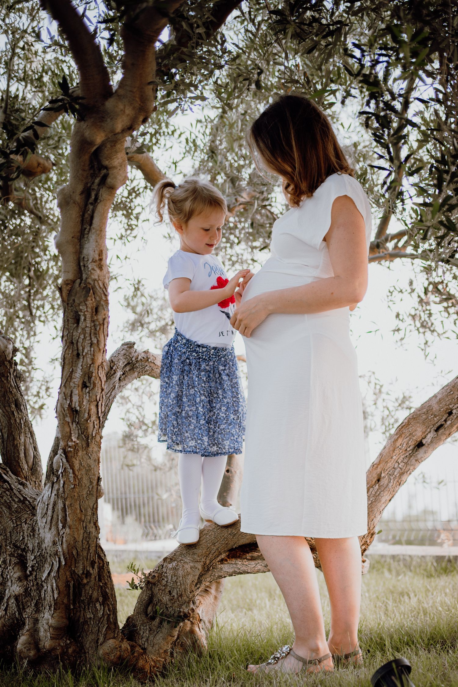 Sister awaiting her brother in a serene olive grove, Istria