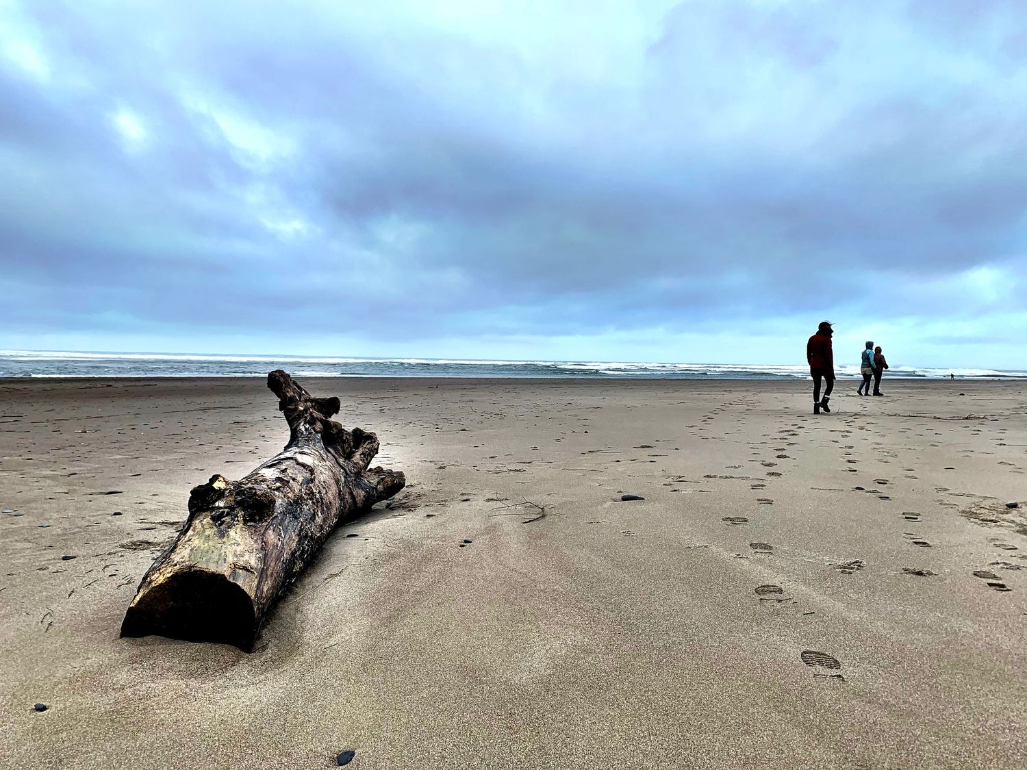 Driftwood with people