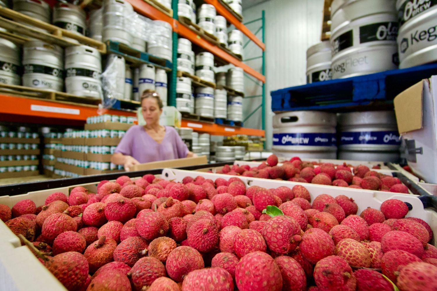 Lychee at Ola Brewing, Kona, HI