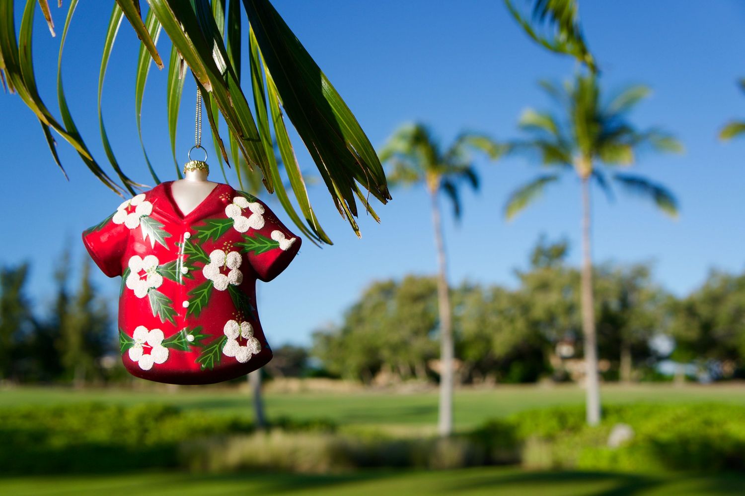 Hawaii Christmas - 2